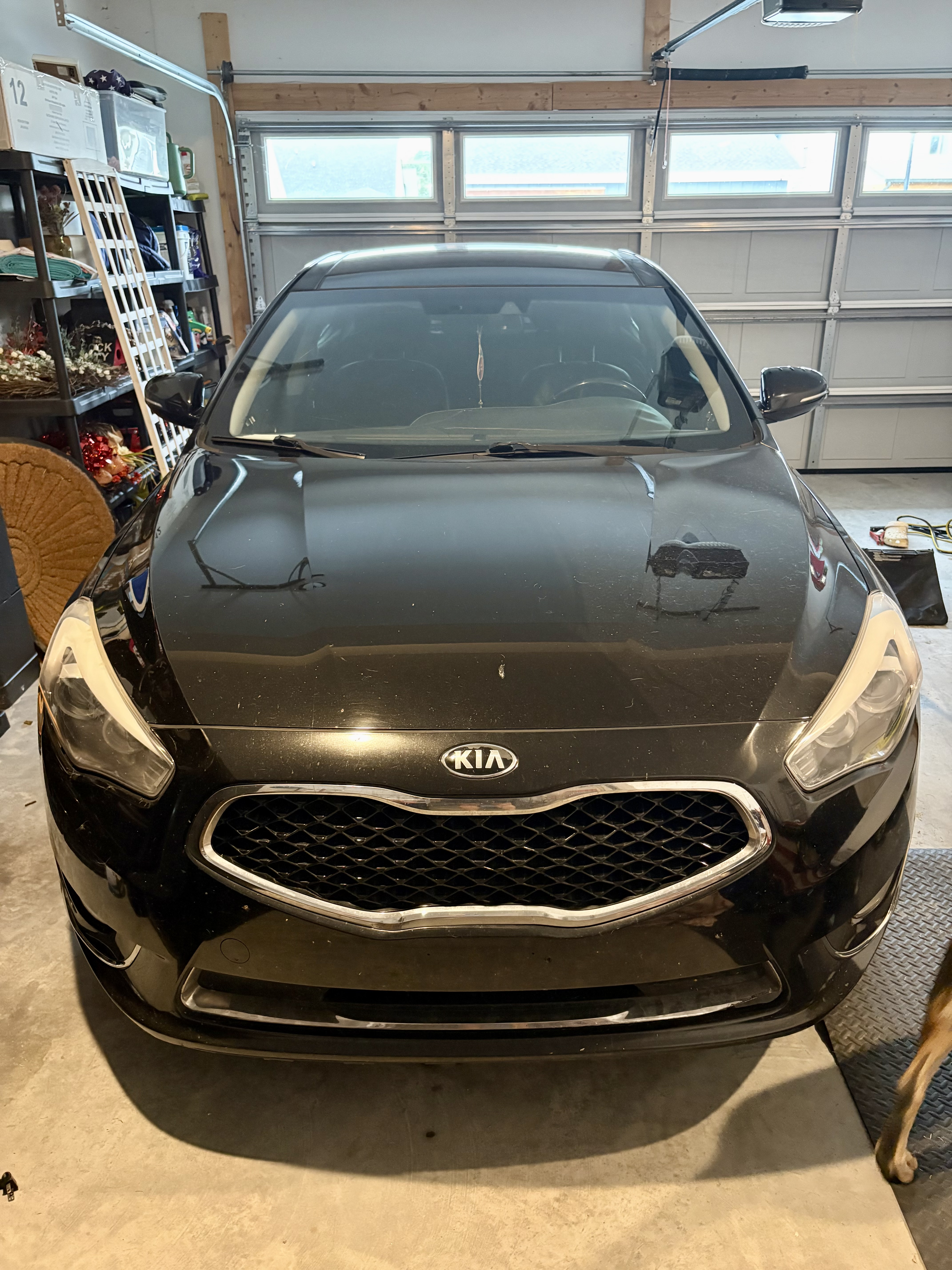 Used 2015 Kia Cadenza Premium w/ Technology Package FWD image 1