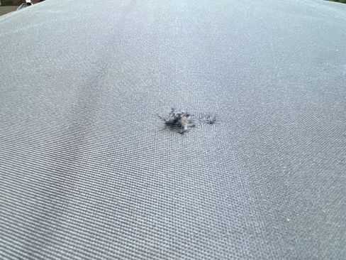 Used 2014 Chevrolet Corvette Stingray Convertible w/ 3LT Preferred Equipment Group image 29