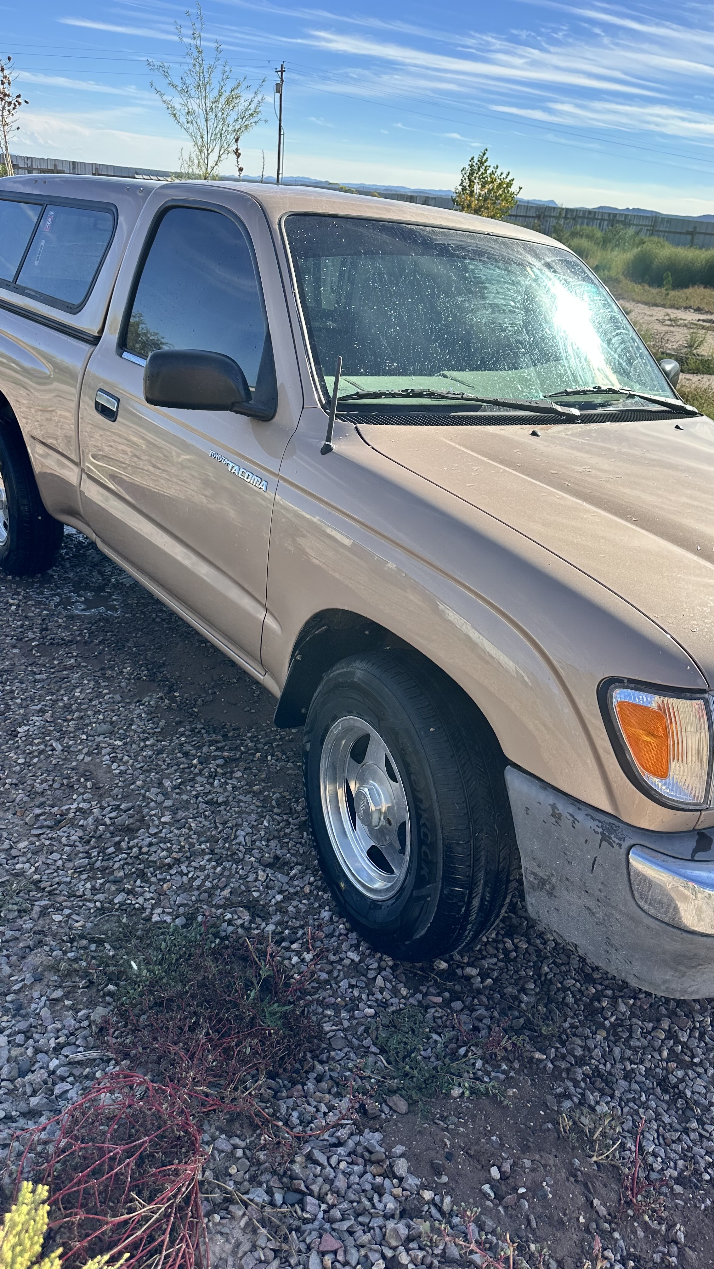 Used 1999 Toyota Tacoma 2WD Regular Cab w/ Value Edition Plus Pkg image 4