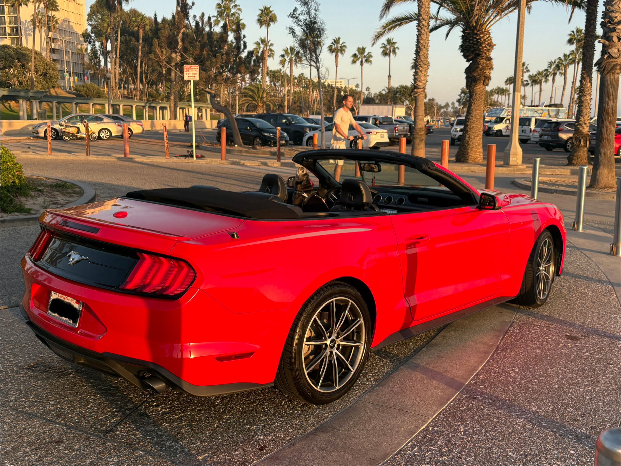 Used 2018 Ford Mustang Premium w/ Equipment Group 201A RWD image 5