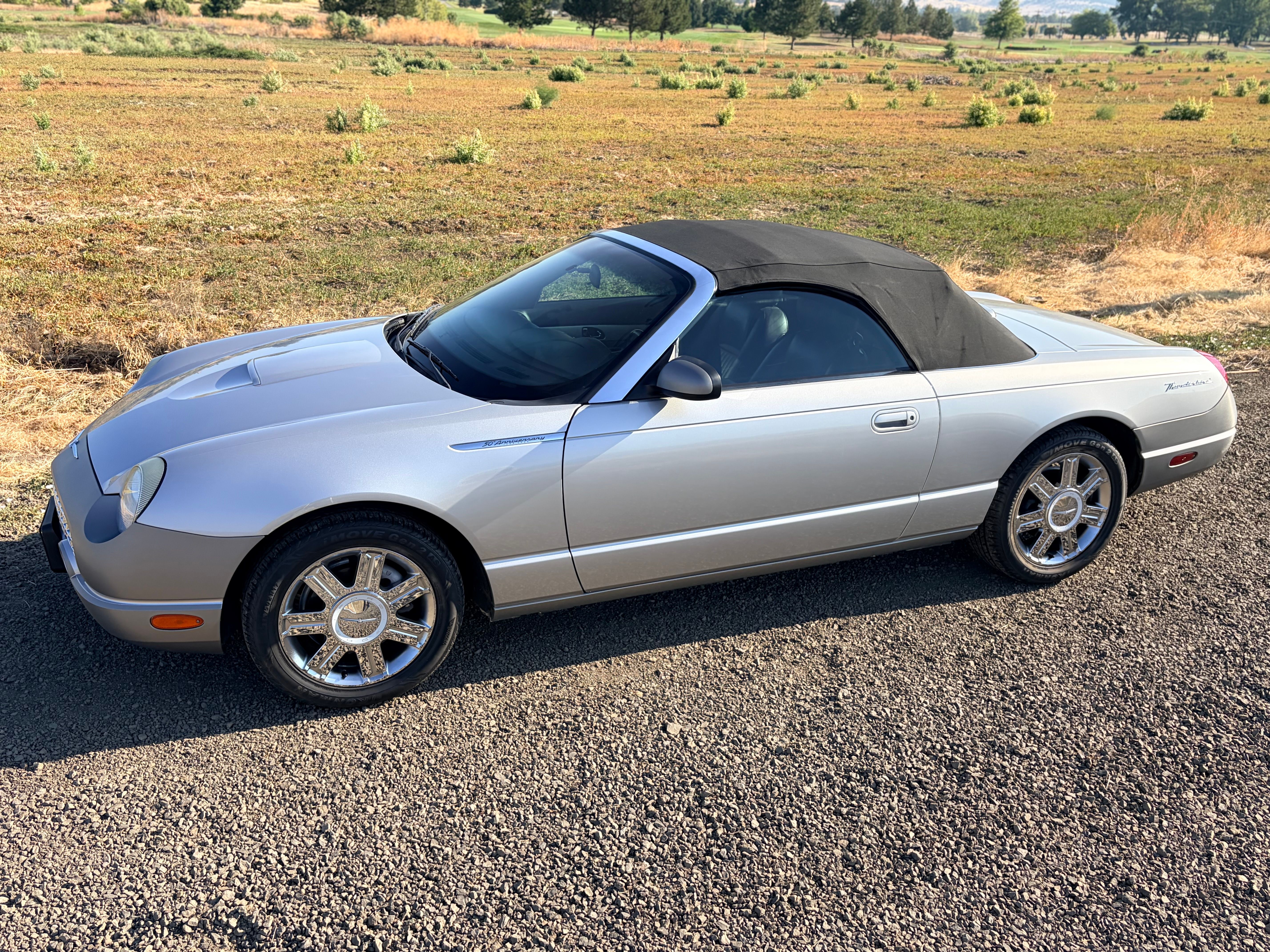 Used 2005 Ford Thunderbird RWD image 5