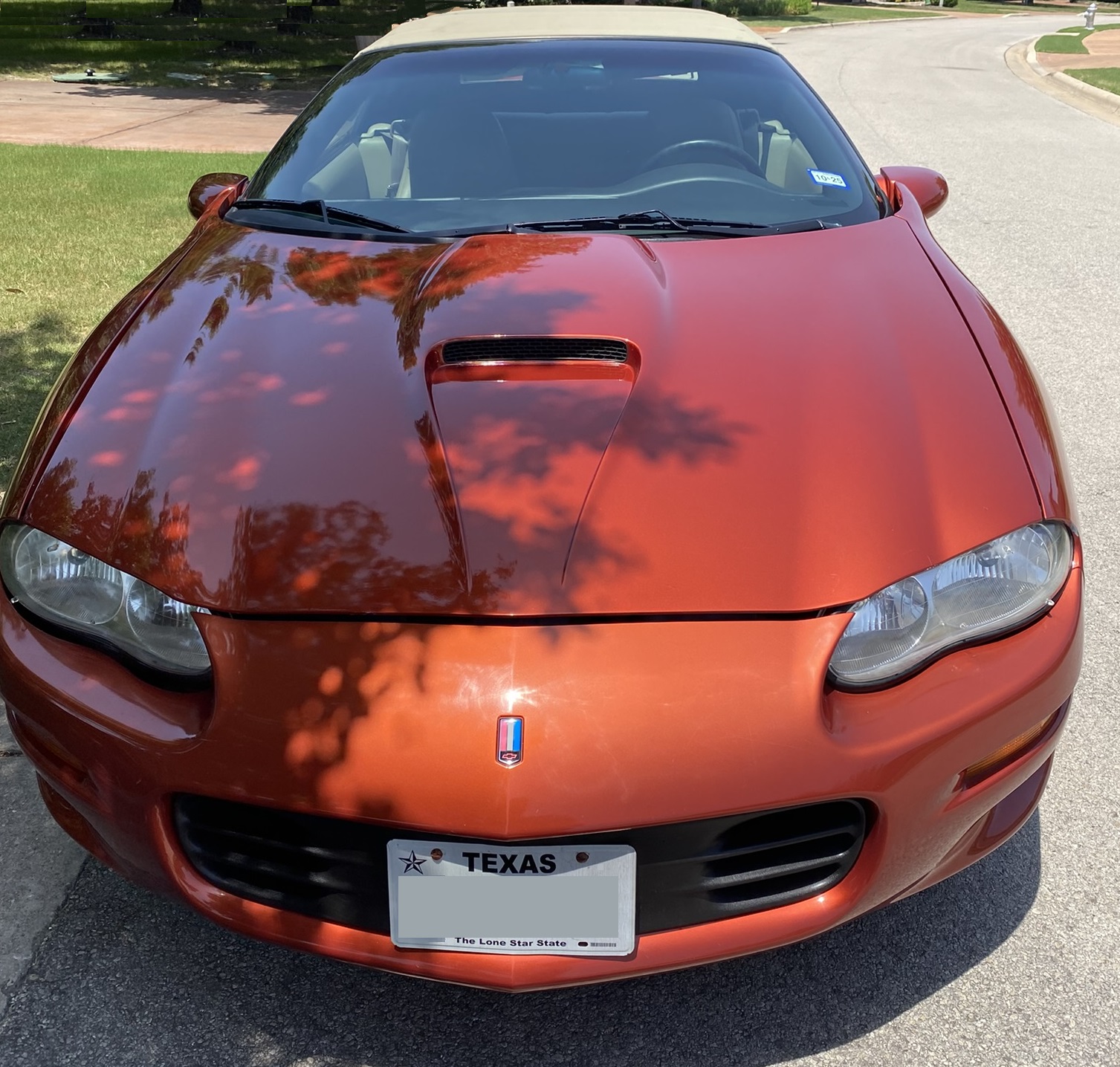 Used 2002 Chevrolet Camaro Z28 w/ SS Performance/Appearance Pkg RWD image 1