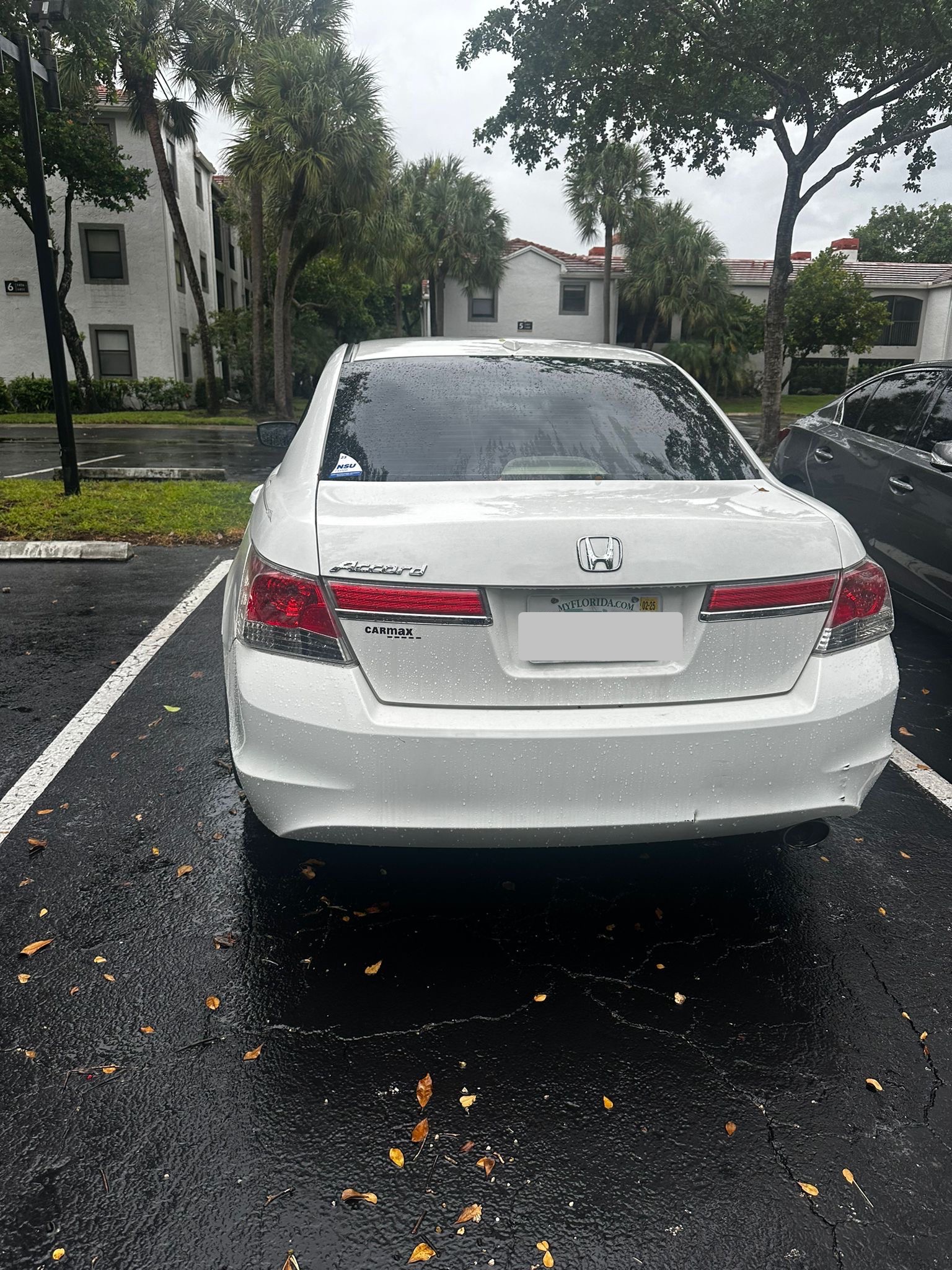 Used 2011 Honda Accord EX-L image 5