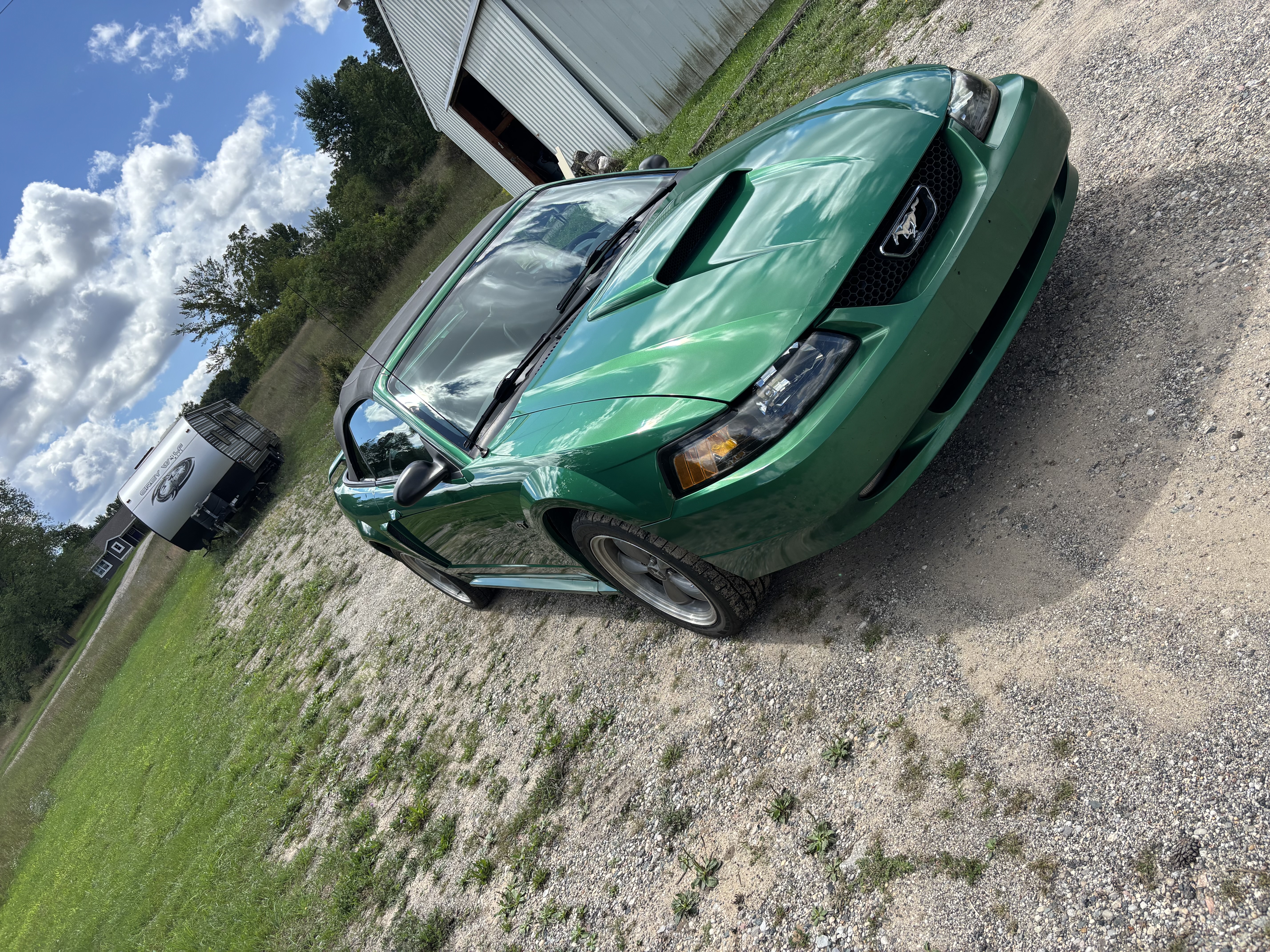 Used 2001 Ford Mustang GT RWD image 5