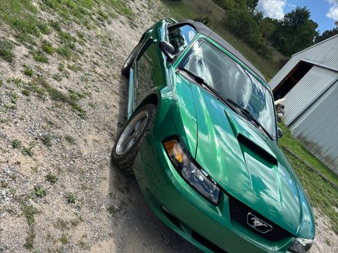 Used 2001 Ford Mustang GT RWD image 5