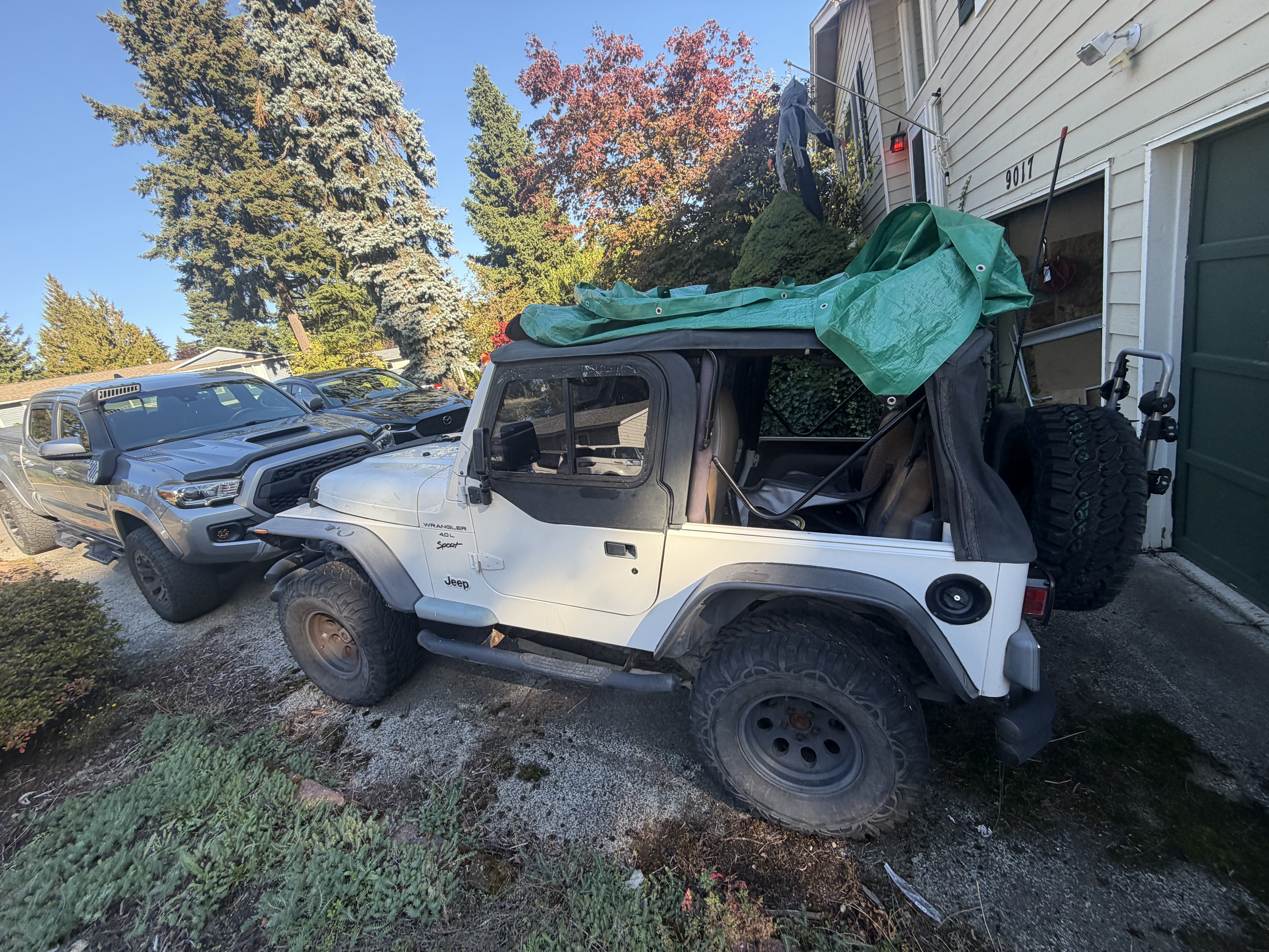 Used 1999 Jeep Wrangler Sport AWD/4WD image 4
