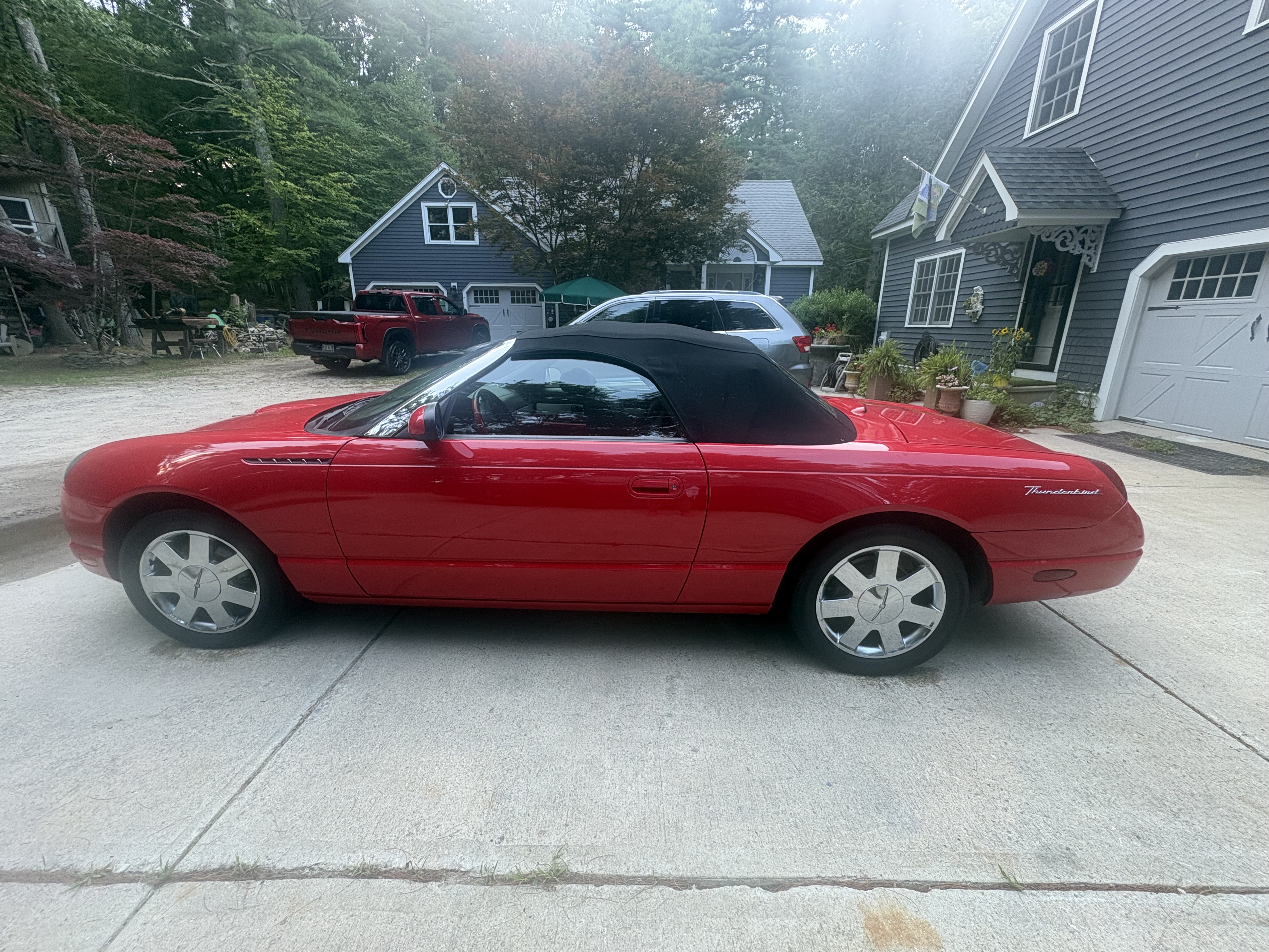 Used 2002 Ford Thunderbird RWD image 6