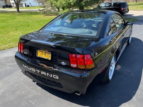 Used 1999 Ford Mustang Cobra image 8