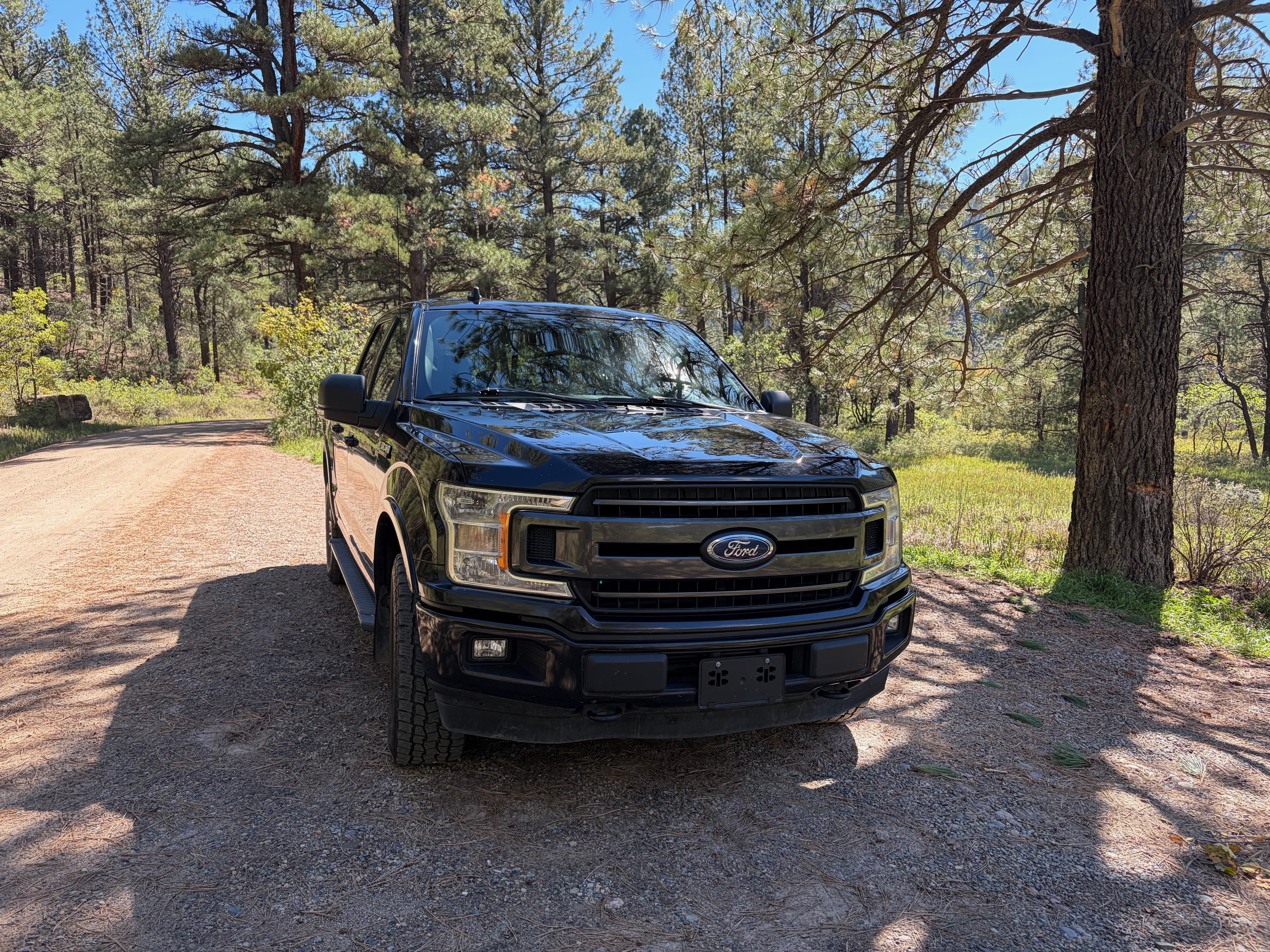 Used 2019 Ford F150 XLT w/ Equipment Group 302A Luxury AWD/4WD image 4