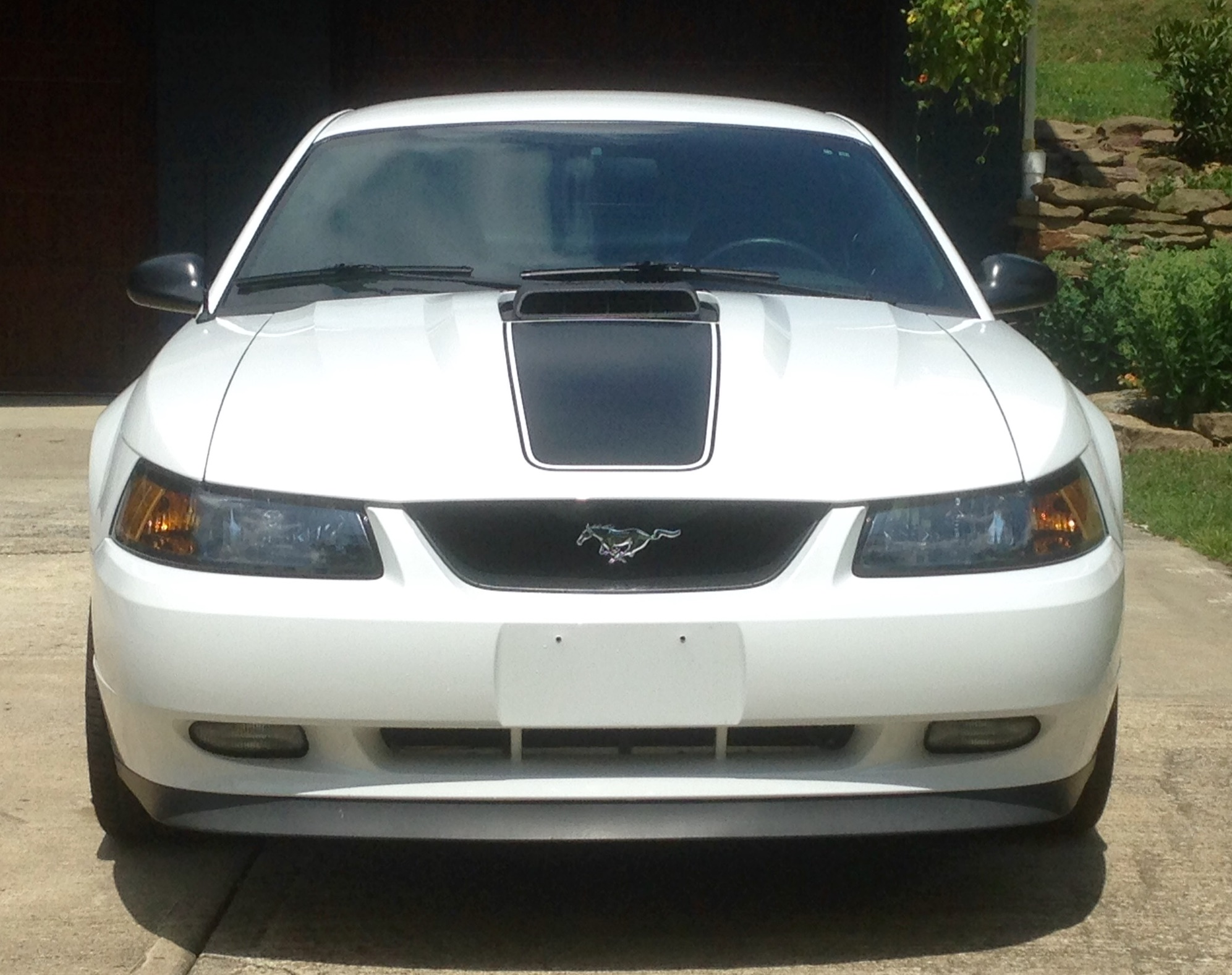 Used 2004 Ford Mustang Mach 1 RWD image 4