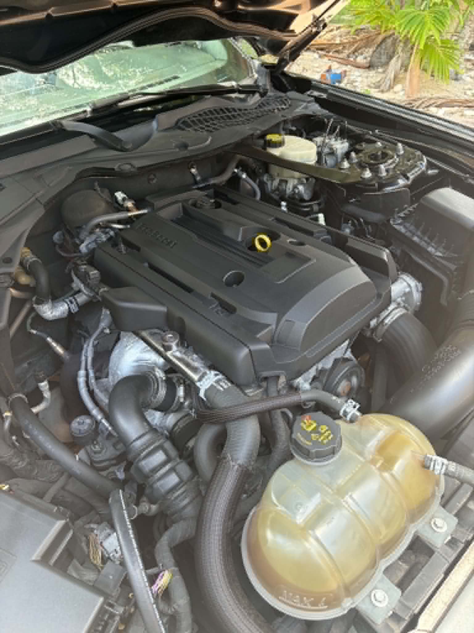 Used 2017 Ford Mustang Premium RWD image 6