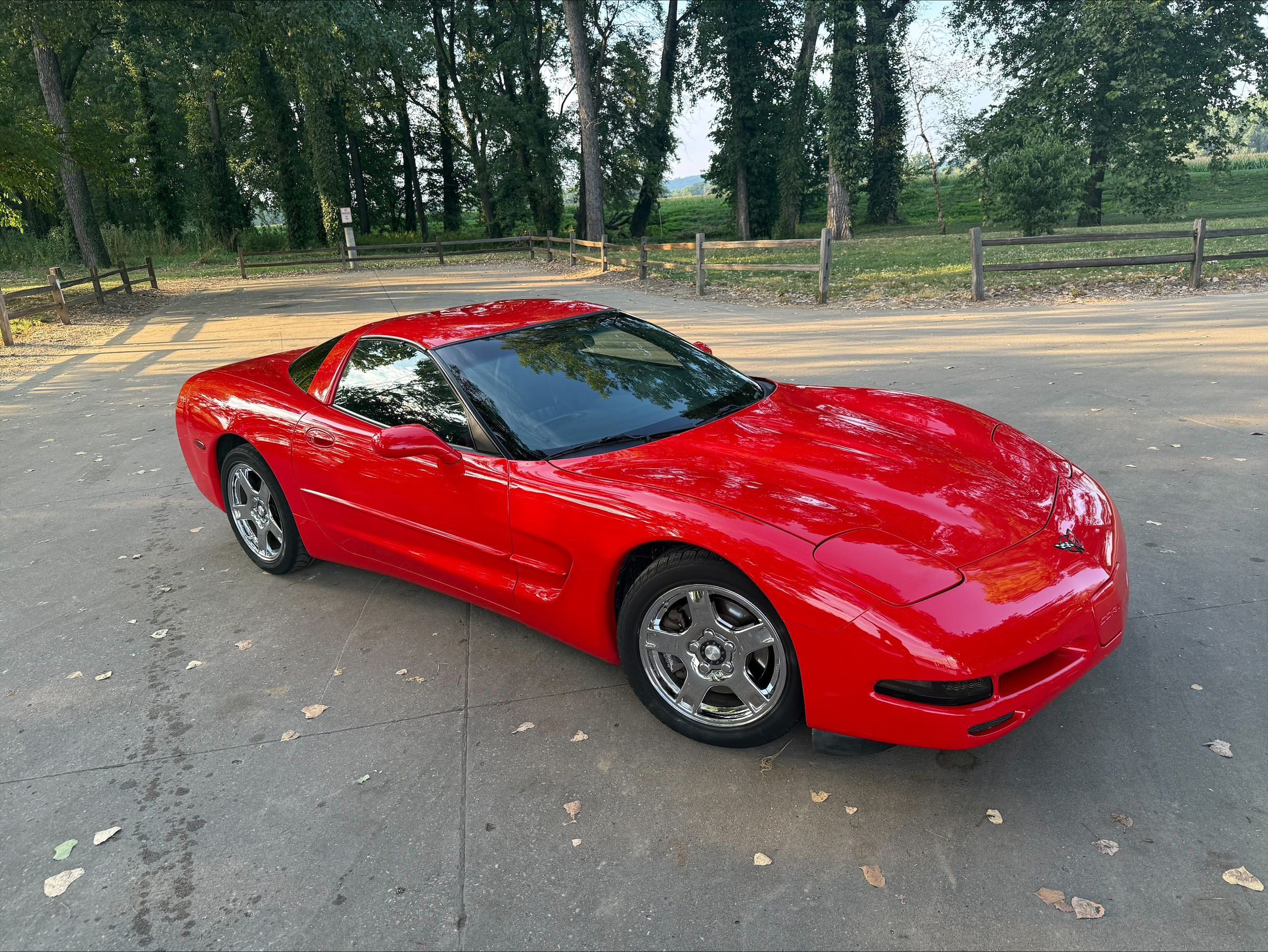 Used 1998 Chevrolet Corvette Coupe w/ Performance Handling Pkg RWD image 8