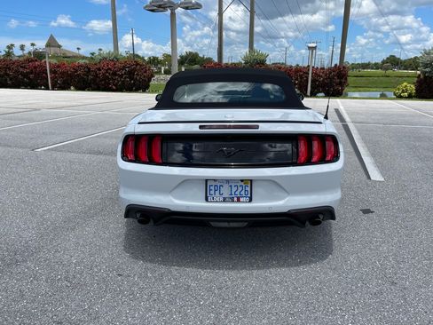 Used 2019 Ford Mustang Premium w/ Equipment Group 201A RWD image 6