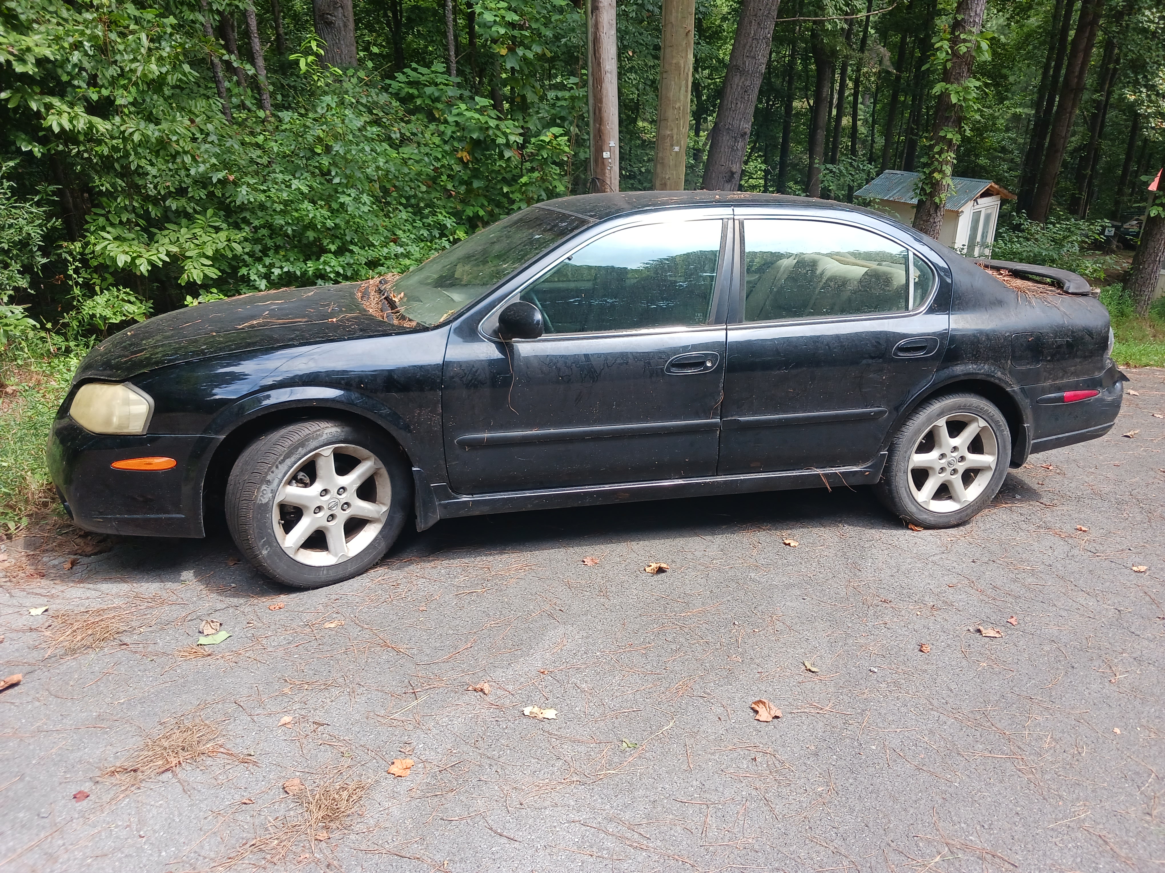 Used 2003 Nissan Maxima SE FWD image 1