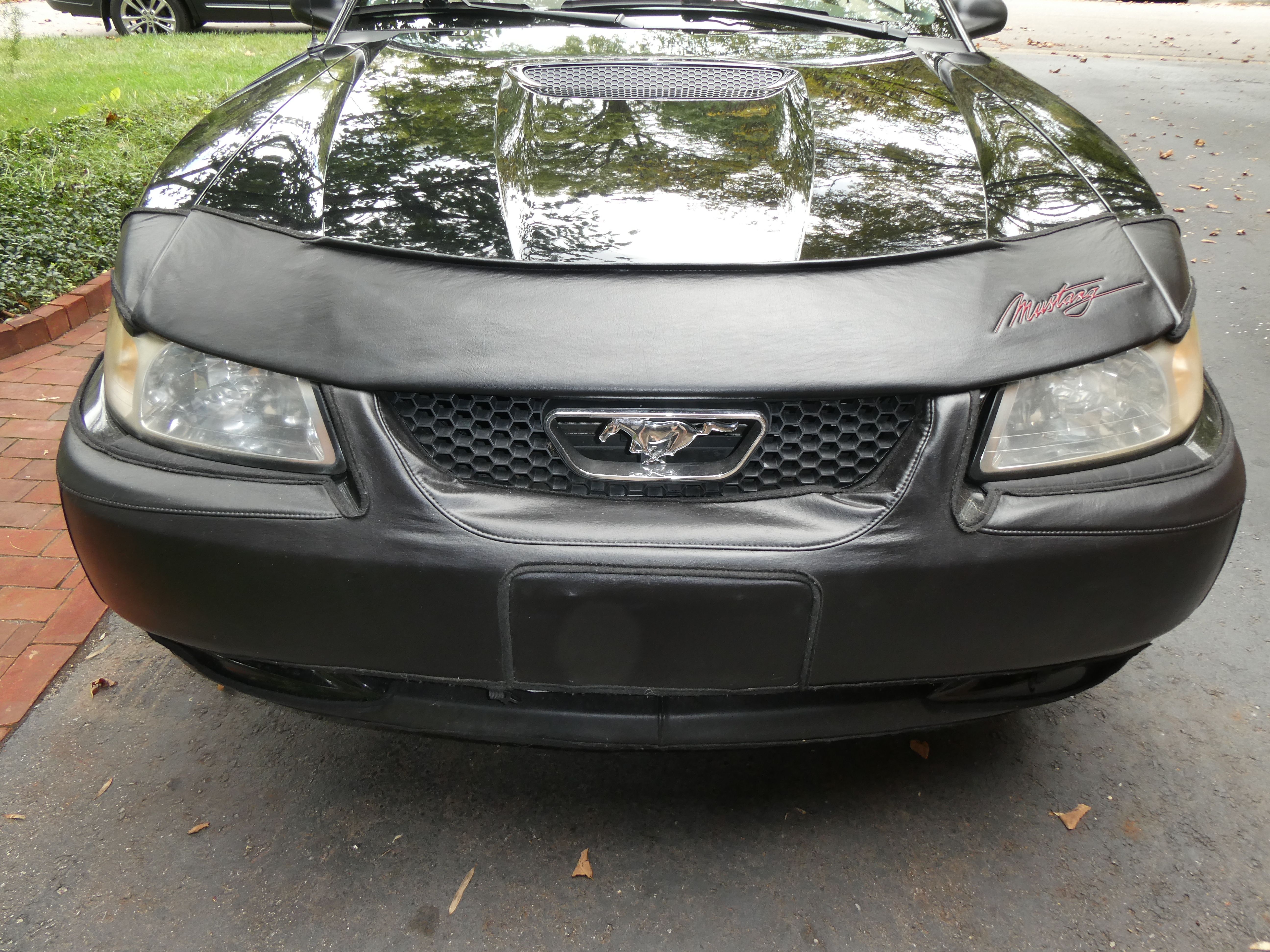 Used 2000 Ford Mustang GT RWD image 9