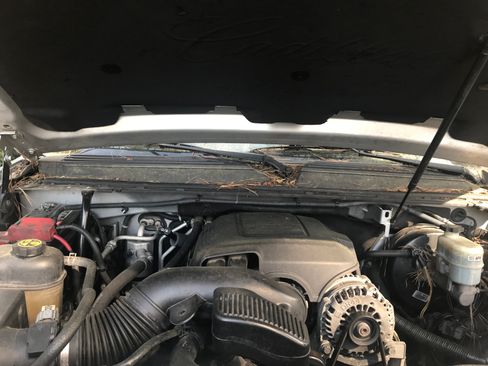 Used 2013 Cadillac Escalade Luxury image 18