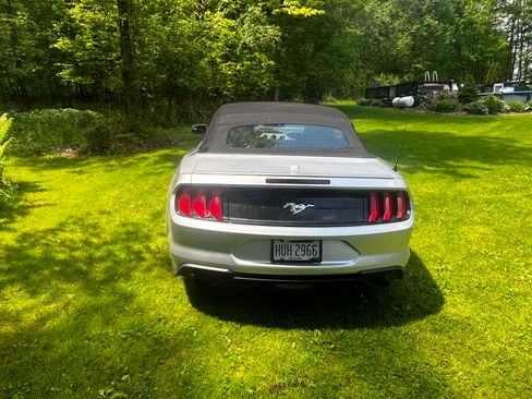 Used 2018 Ford Mustang Premium w/ Equipment Group 201A RWD image 9