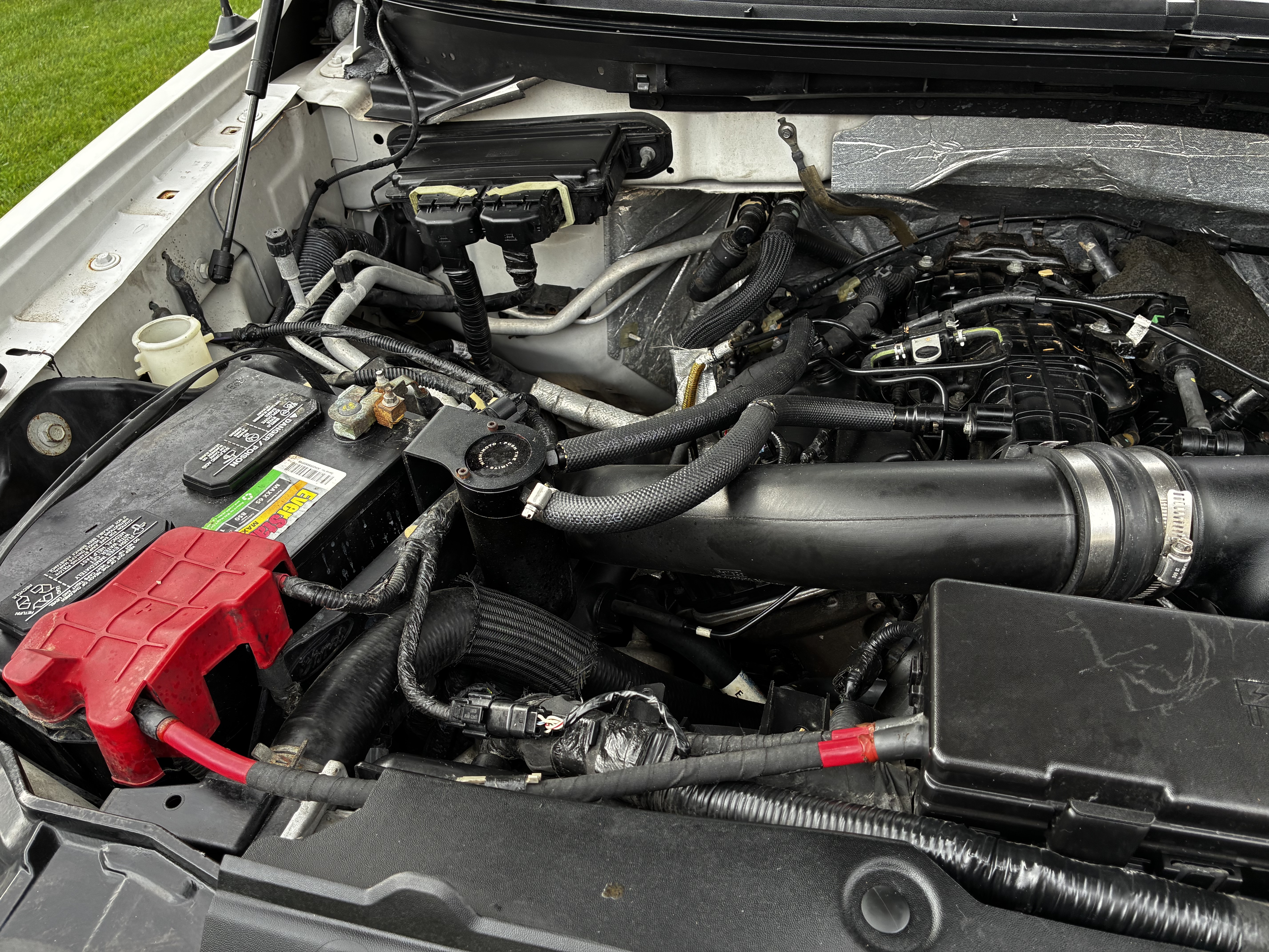 Used 2013 Ford F150 Limited AWD/4WD image 5