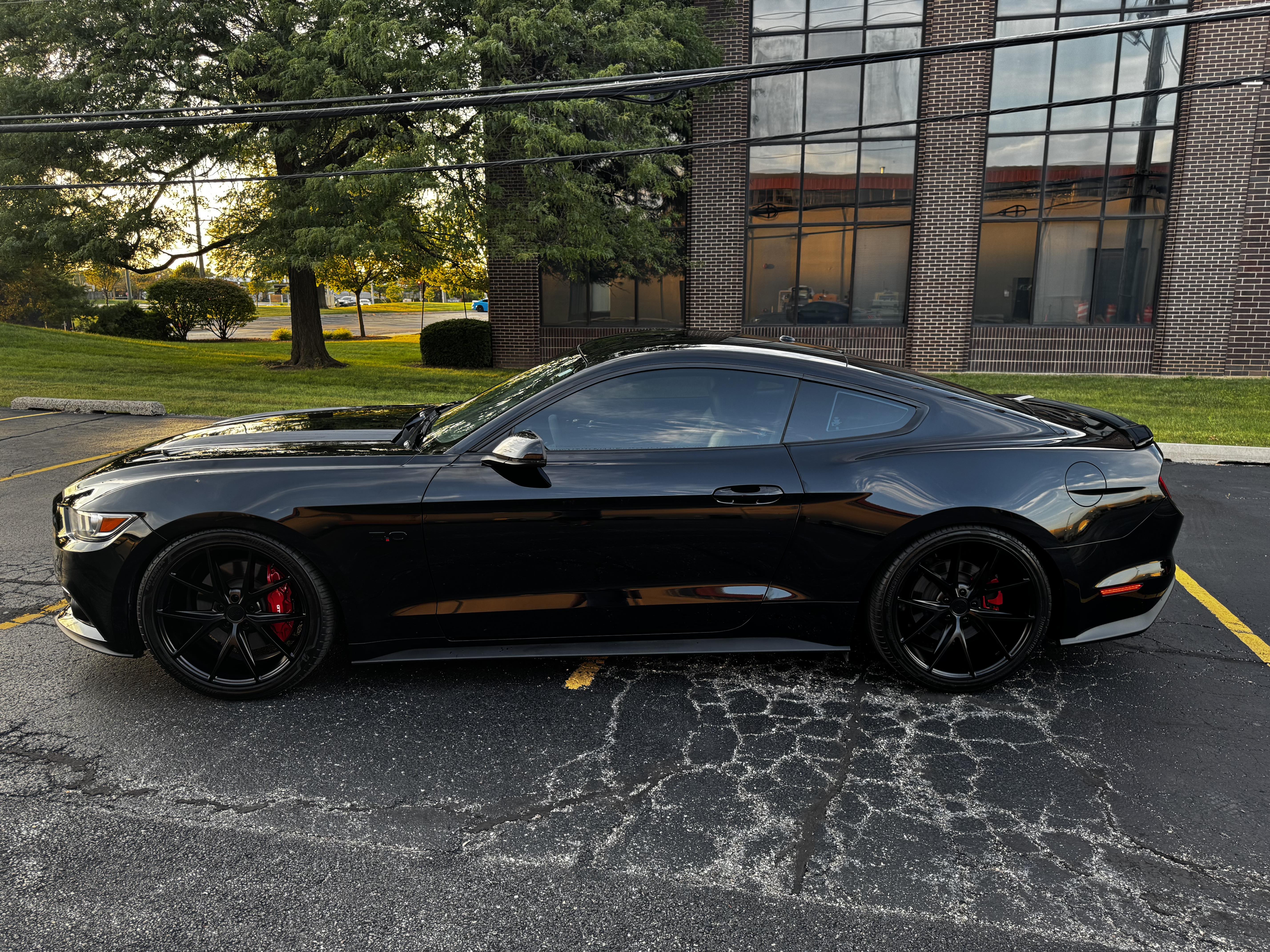 Used 2016 Ford Mustang GT Premium w/ Black Accent Package RWD image 6