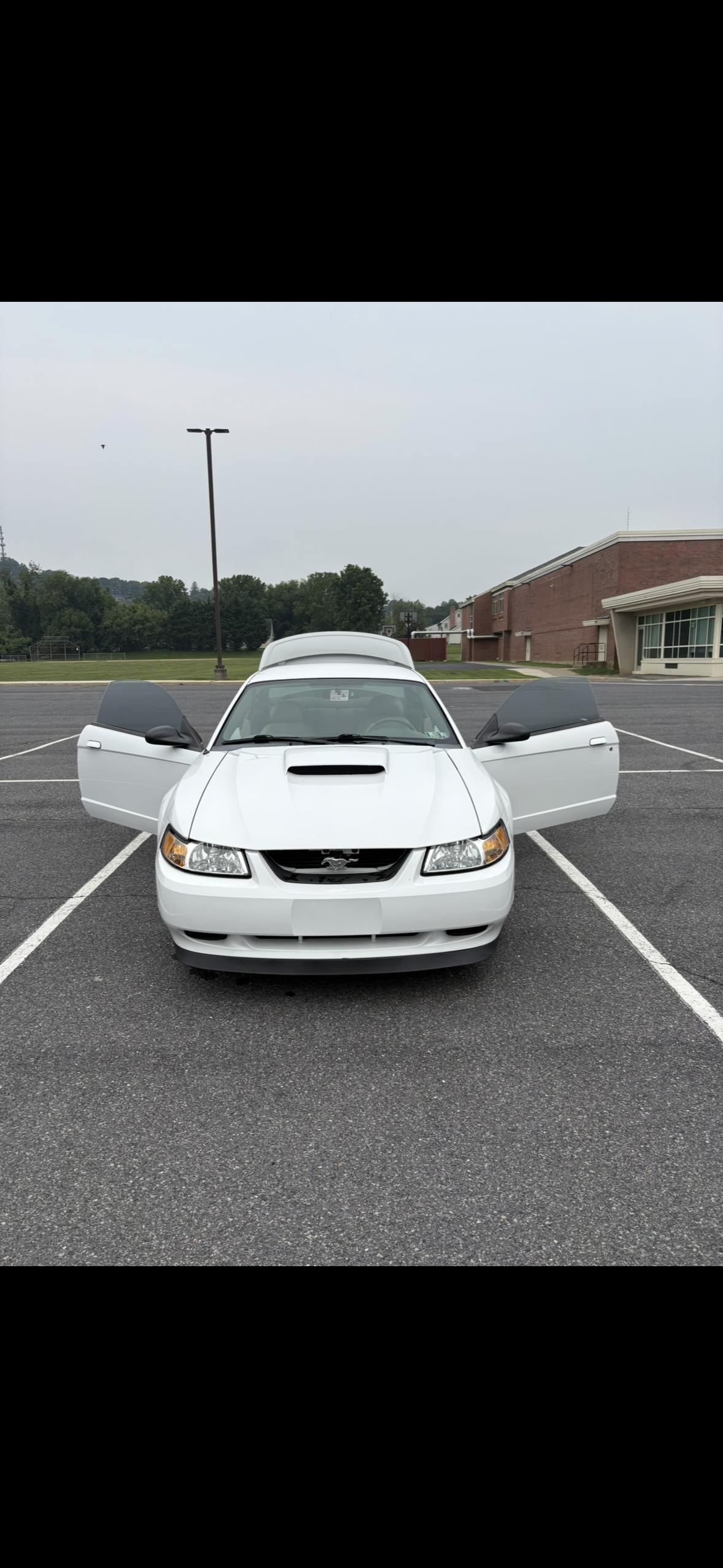 Used 2004 Ford Mustang GT Premium RWD image 10
