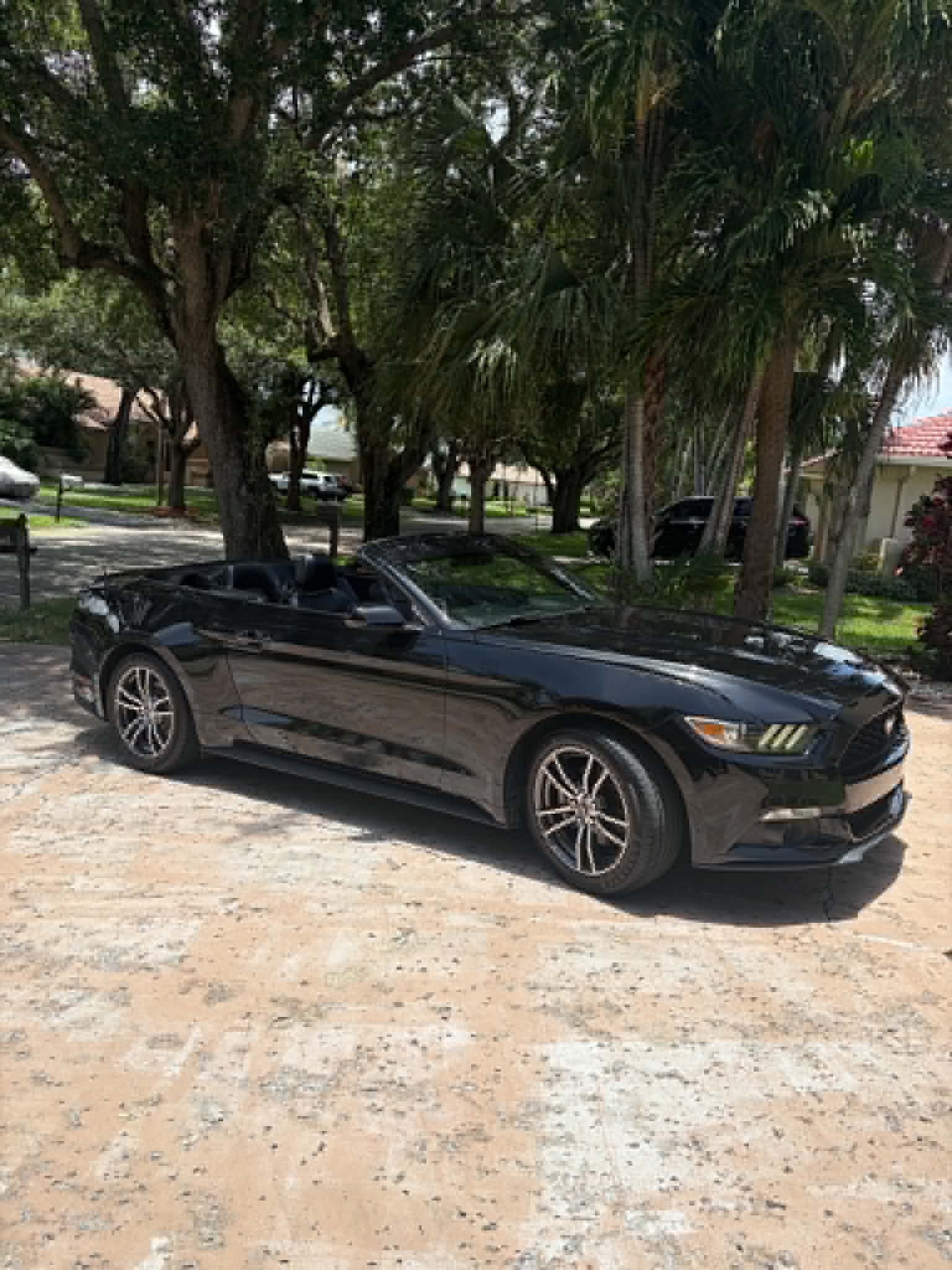 Used 2017 Ford Mustang Premium RWD image 1