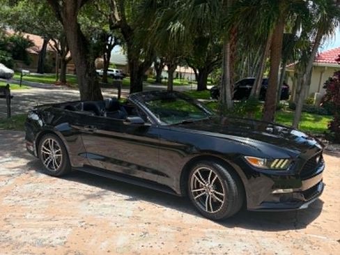 Used 2017 Ford Mustang Premium RWD image 1
