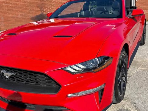 Used 2020 Ford Mustang Premium RWD image 2