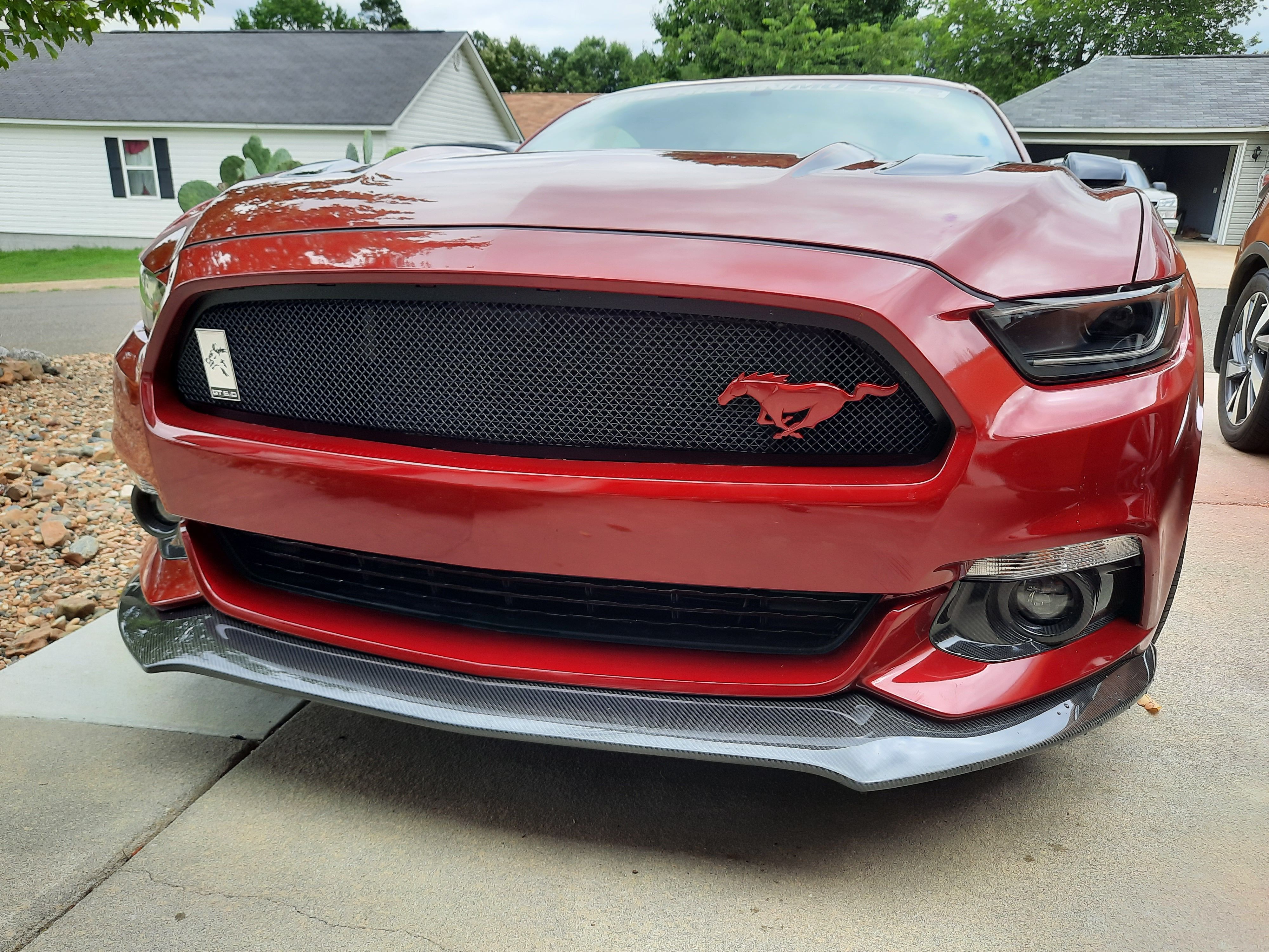Used 2016 Ford Mustang GT Premium w/ Equipment Group 401A RWD image 4