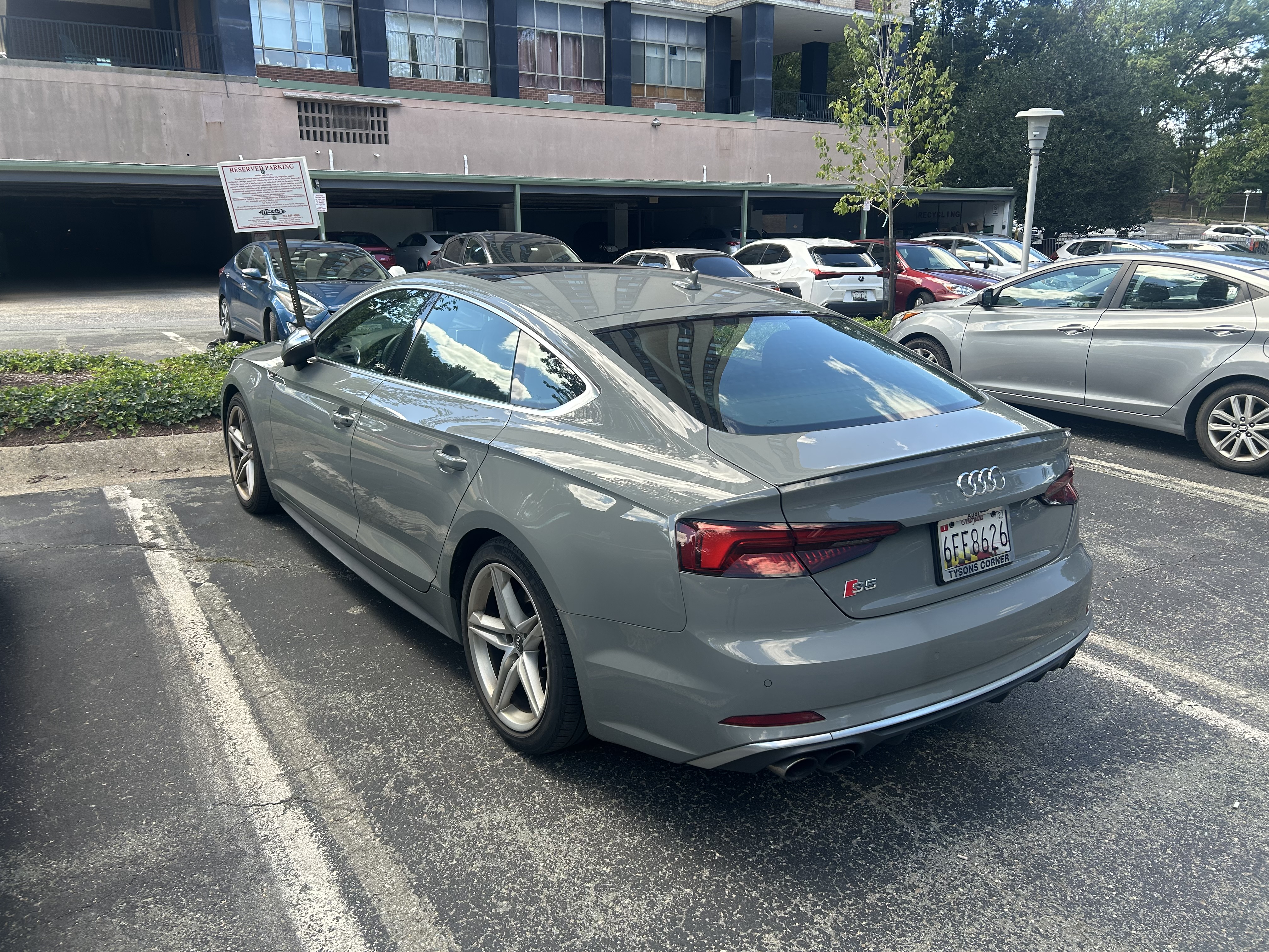 Used 2019 Audi S5 Premium Plus w/ Premium Plus AWD/4WD image 8