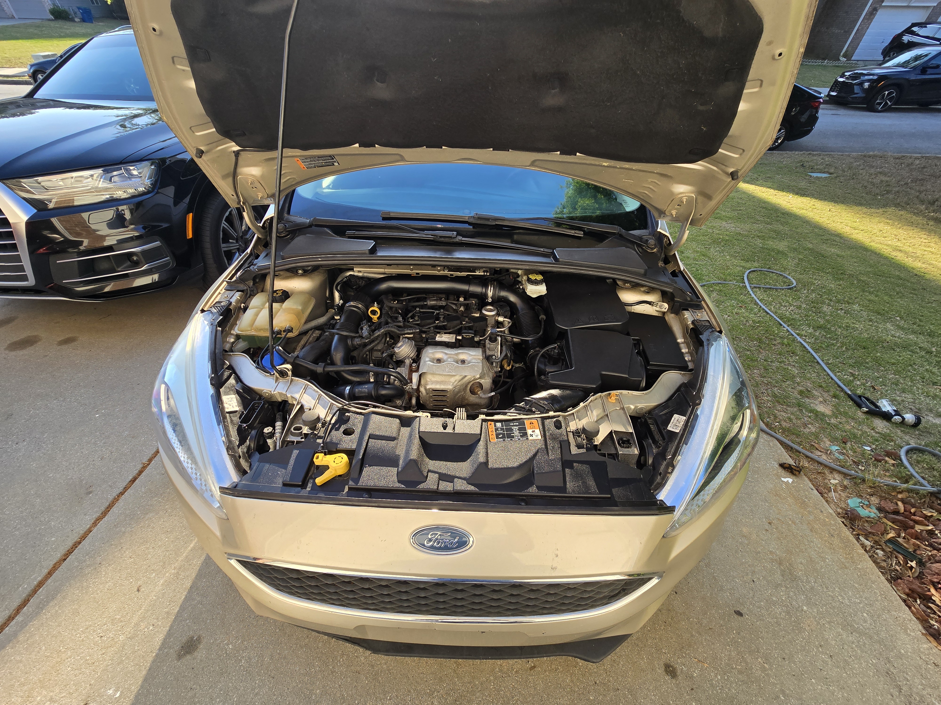 Used 2018 Ford Focus SE FWD image 11