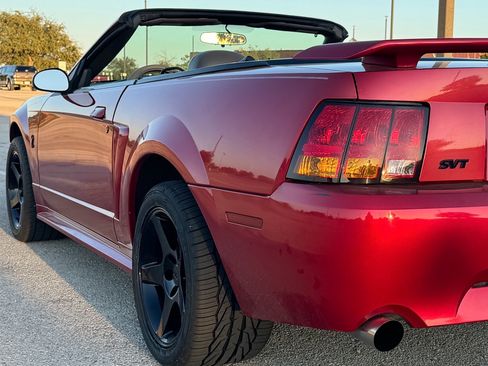 Used 2001 Ford Mustang Cobra image 5