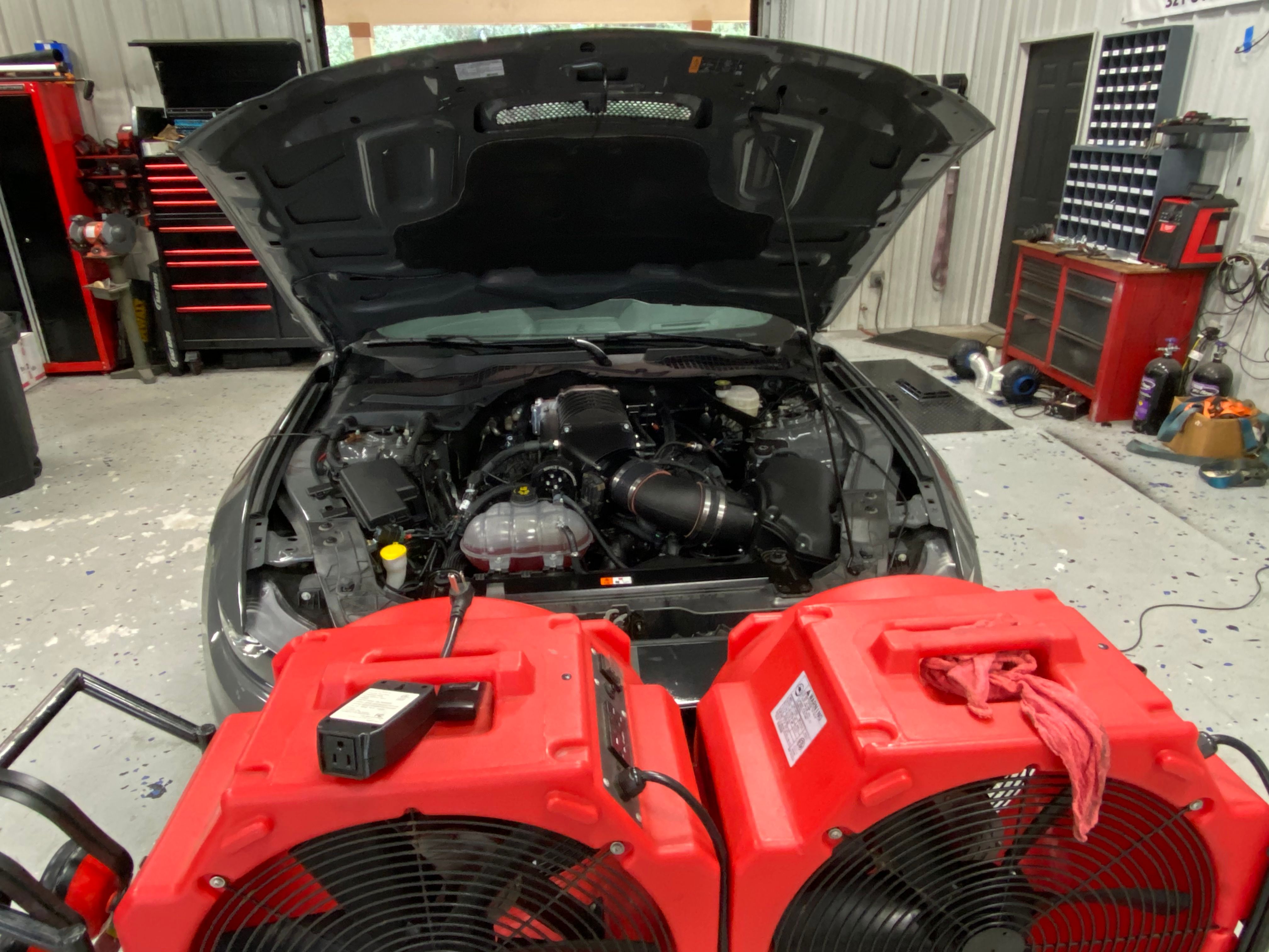 Used 2018 Ford Mustang Shelby GT350 w/ Electronics Package RWD image 8
