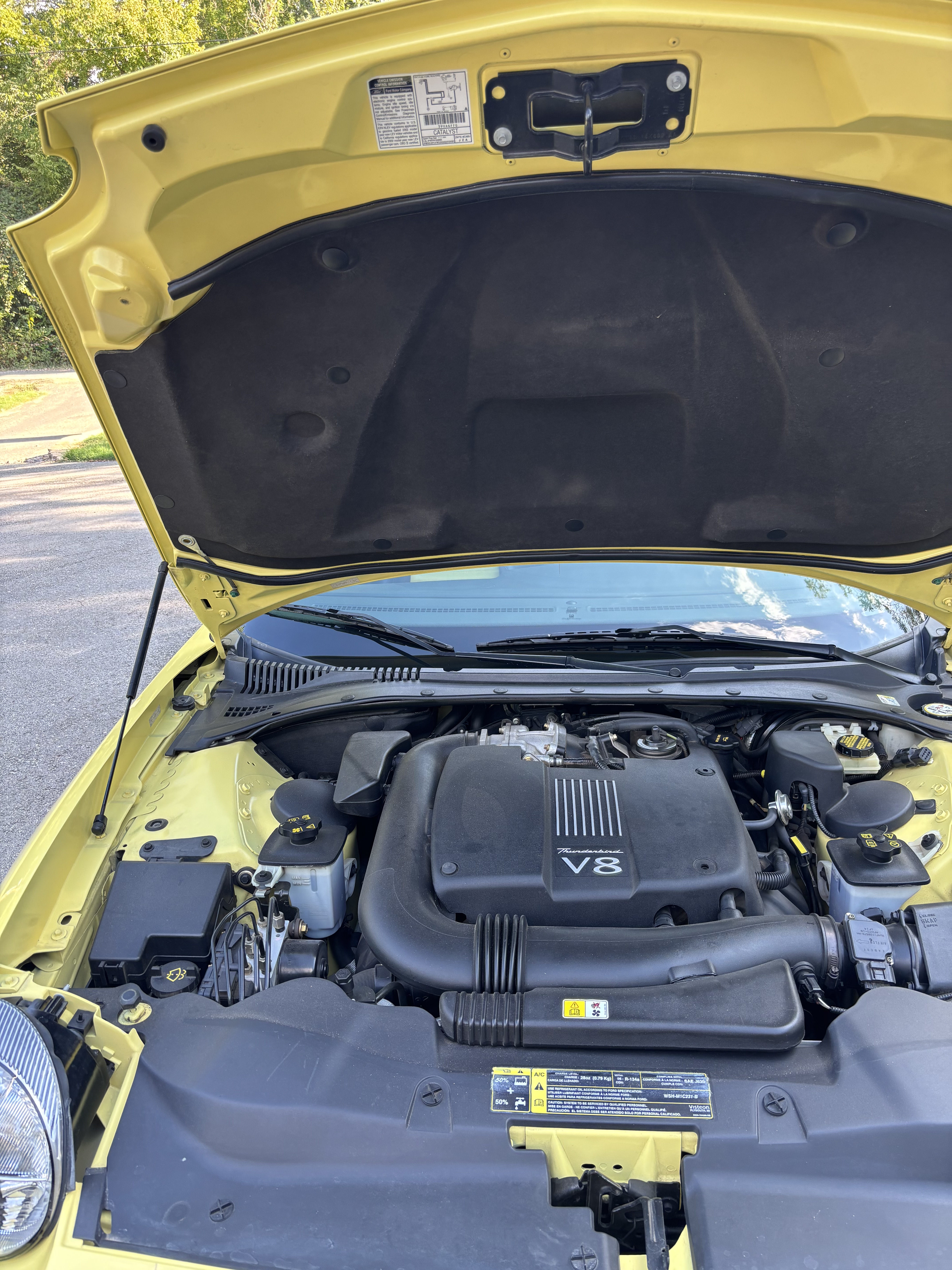 Used 2002 Ford Thunderbird RWD image 5