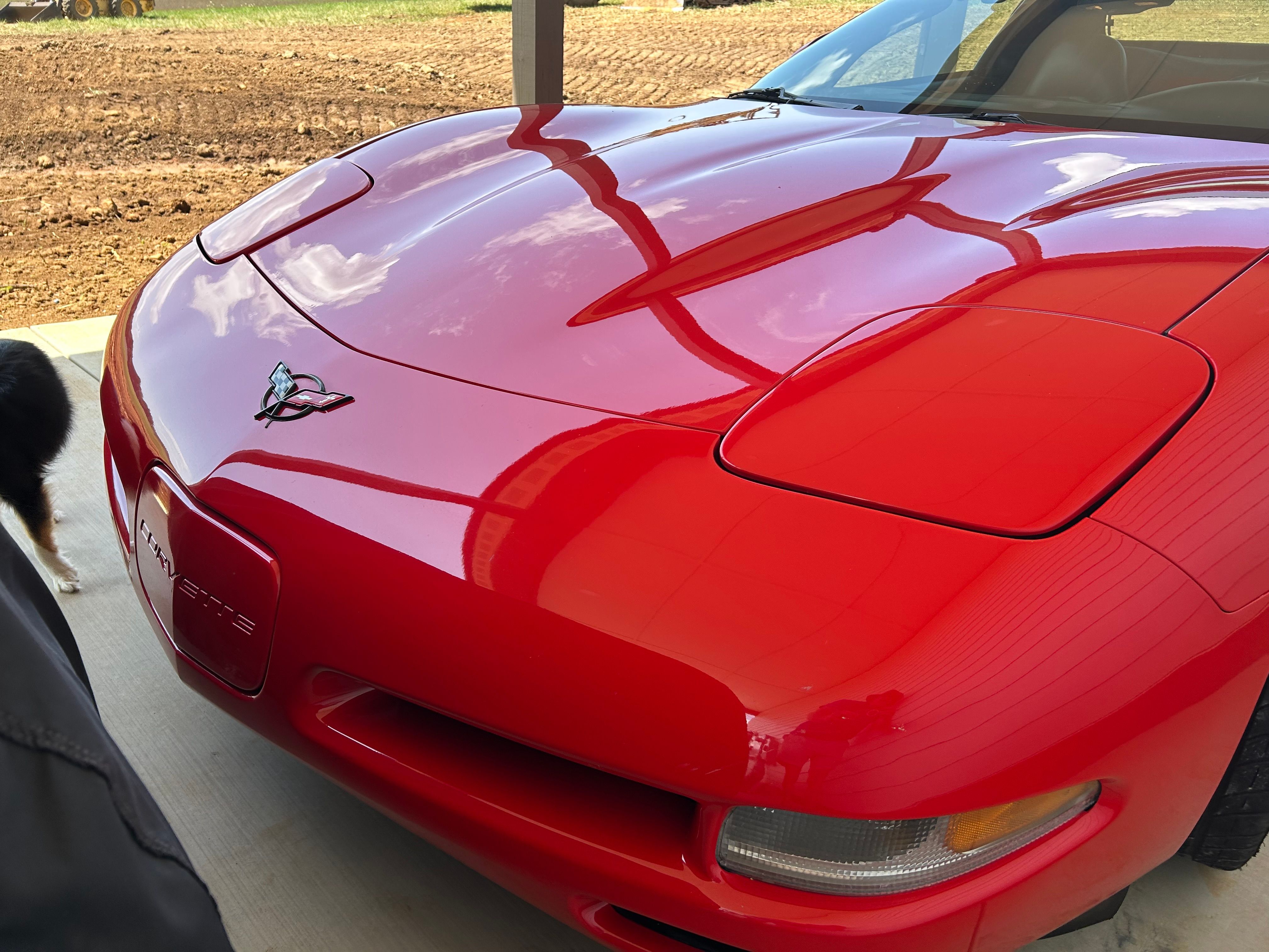 Used 1998 Chevrolet Corvette Convertible w/ Memory Pkg RWD image 16