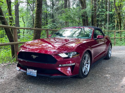 Used 2019 Ford Mustang Premium w/ Ecoboost Performance Package RWD image 12