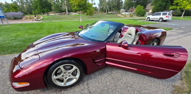 Used 2003 Chevrolet Corvette Convertible RWD image 6