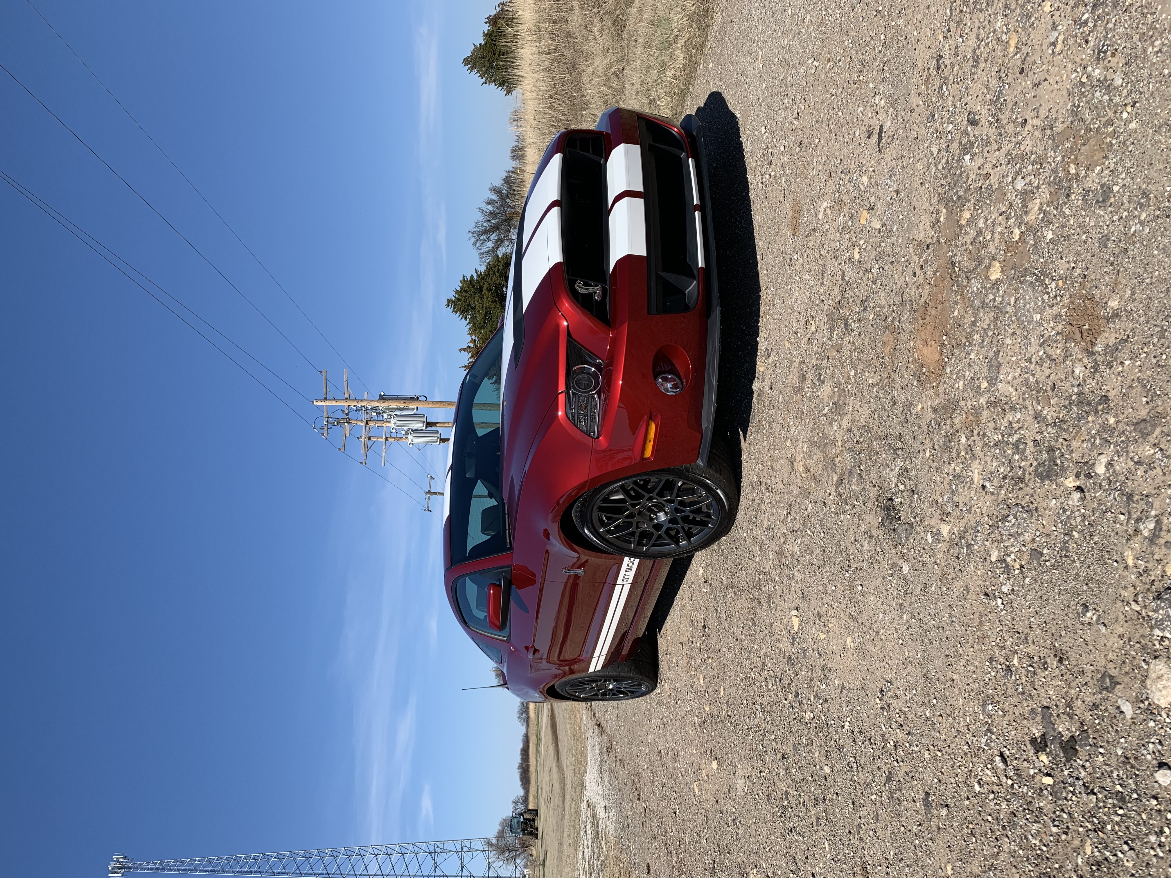 Used 2014 Ford Mustang Shelby GT500 w/ Equipment Group 821A RWD image 2