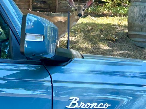 Used 2021 Ford Bronco Outer Banks w/ Sasquatch Package image 6