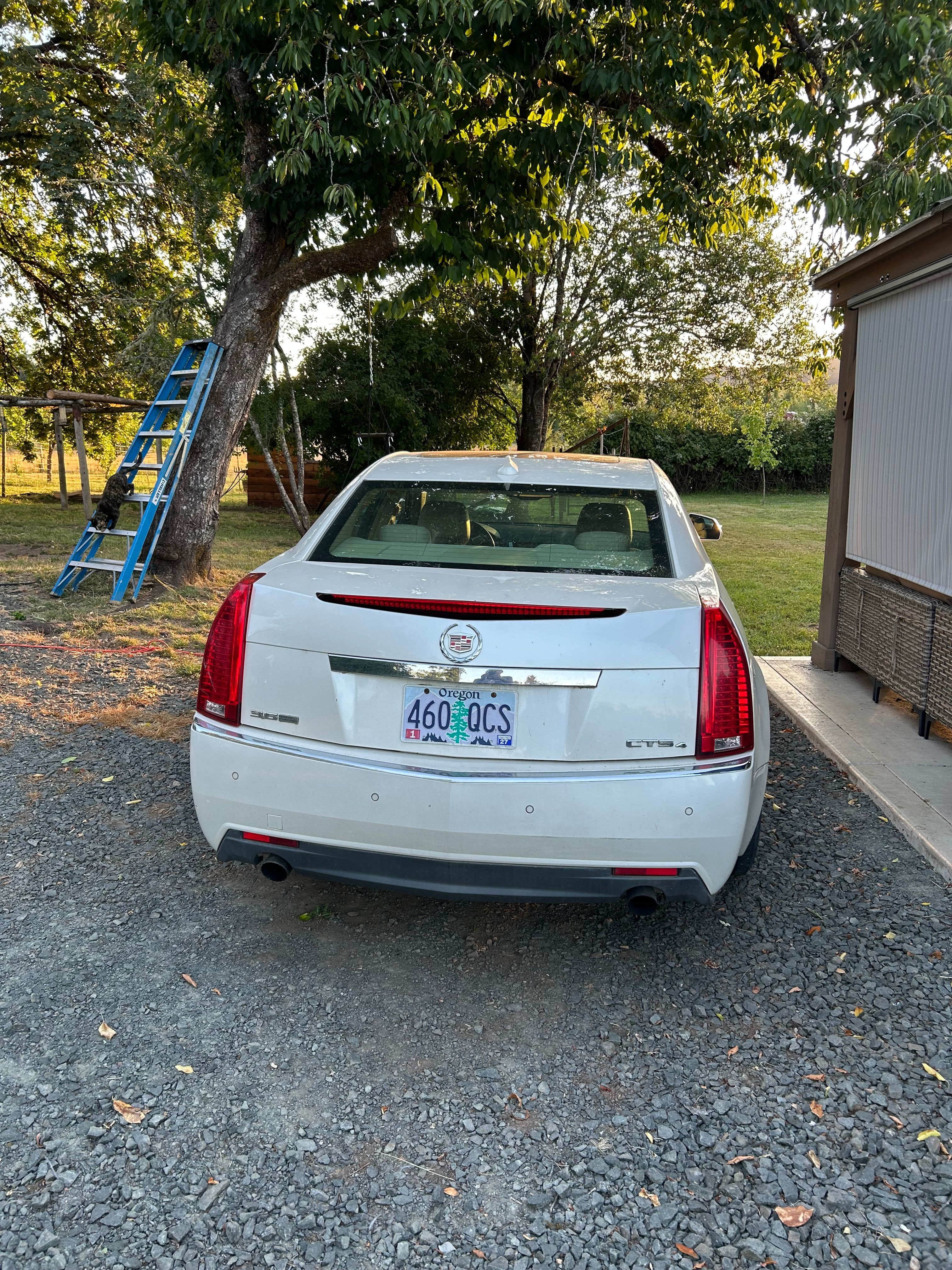 Used 2009 Cadillac CTS 3.6 AWD image 1