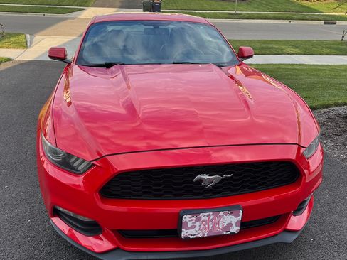 Used 2017 Ford Mustang Coupe RWD image 4