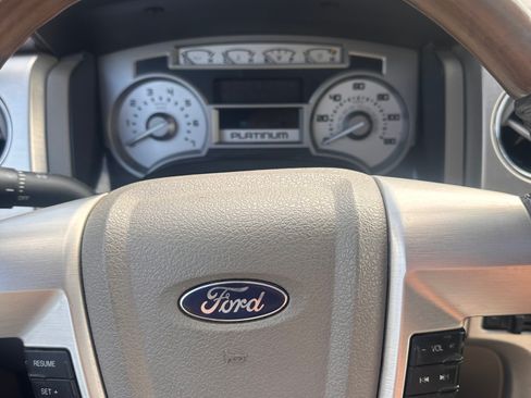 Used 2009 Ford F150 Platinum image 9