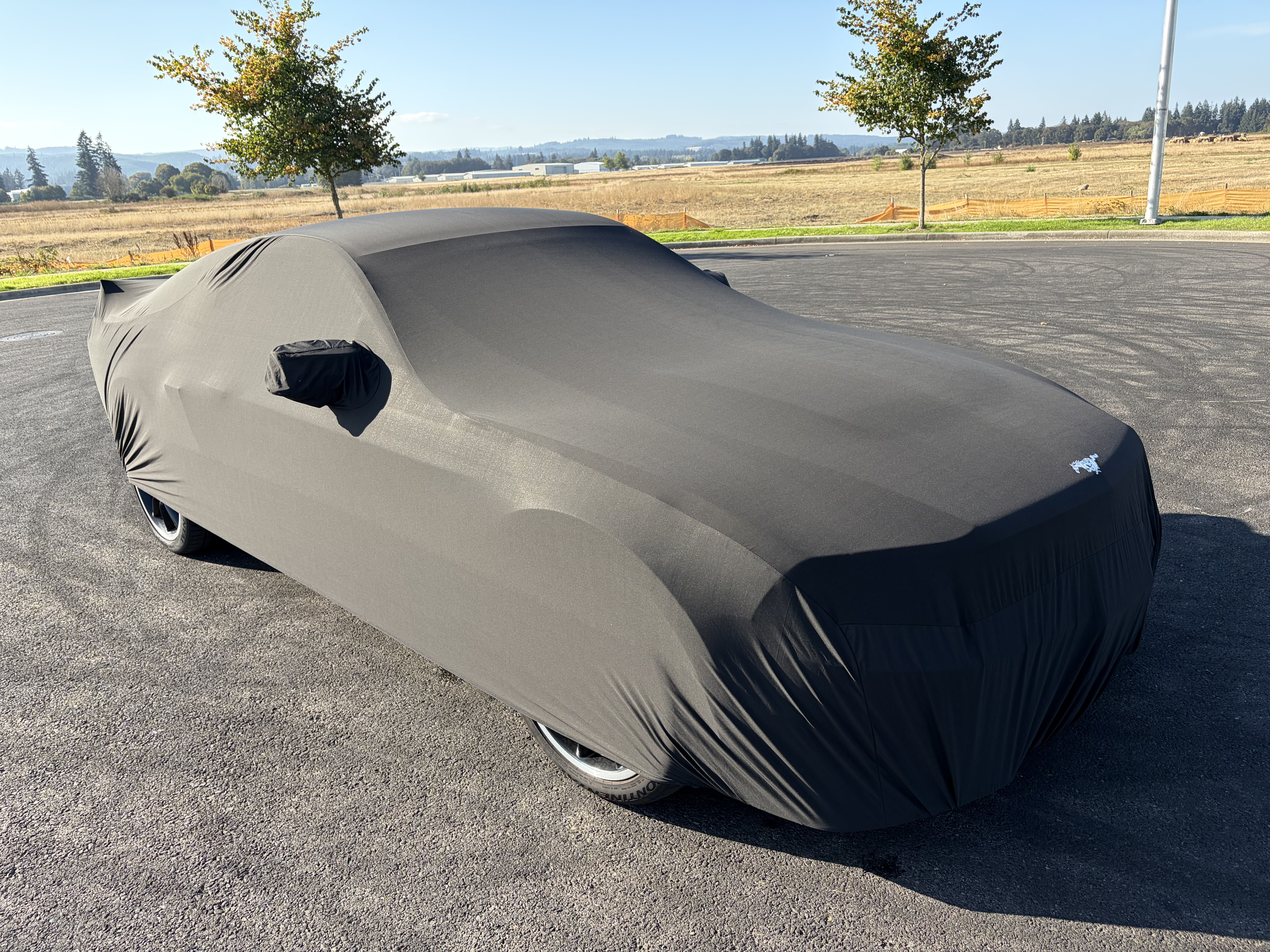 Used 2012 Ford Mustang Boss 302 RWD image 10