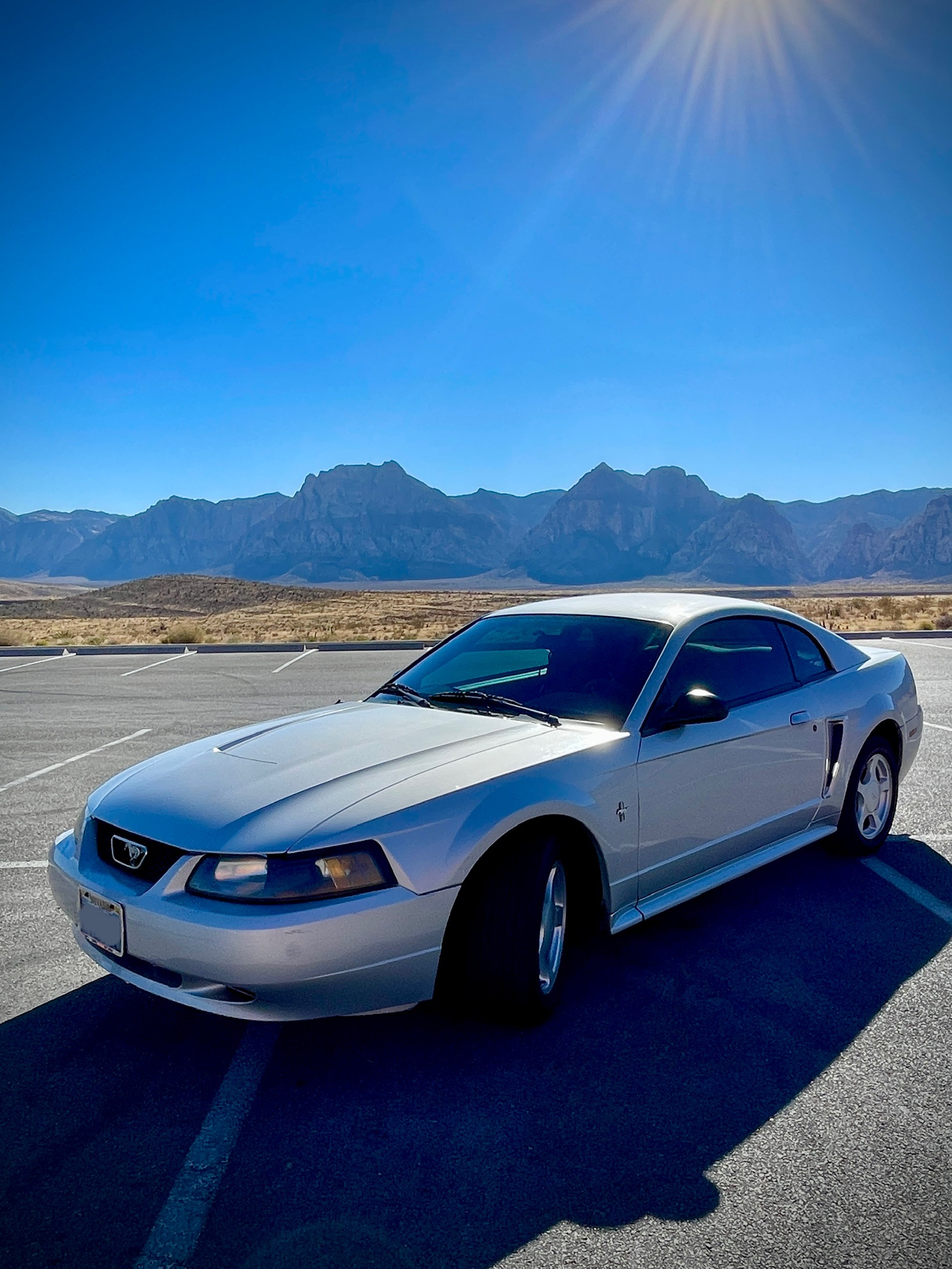 Used 2003 Ford Mustang Coupe RWD image 6