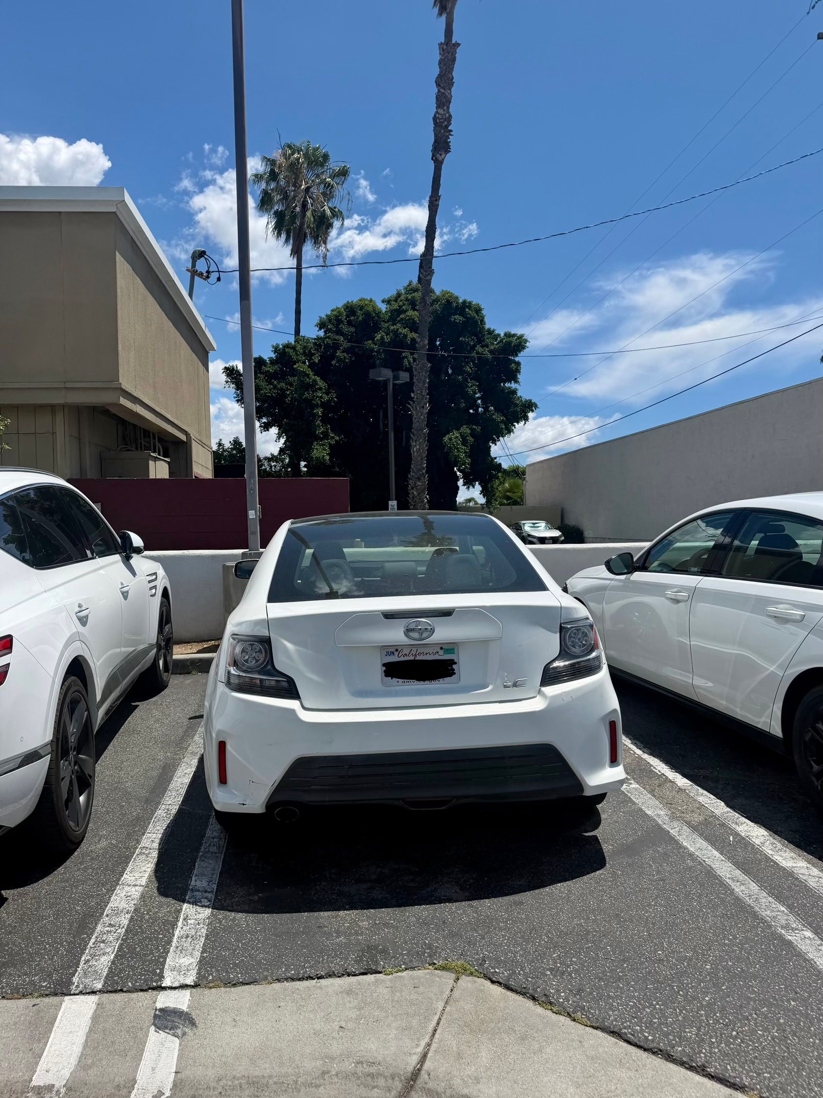 Used 2014 Scion tC FWD image 2