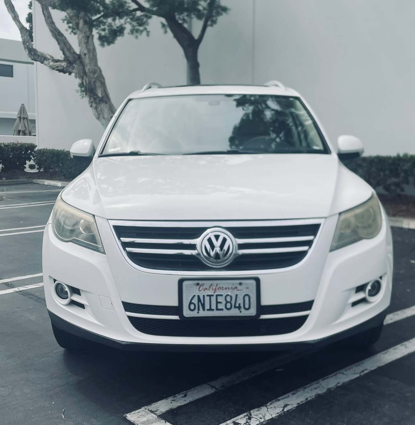 Used 2011 Volkswagen Tiguan SEL FWD image 4