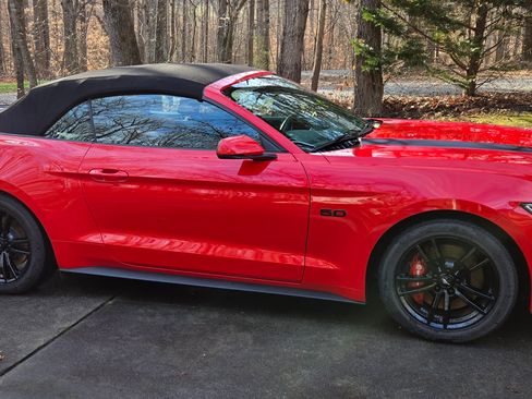 Used 2017 Ford Mustang GT Premium w/ Equipment Group 401A image 2