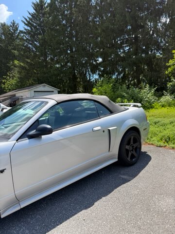 Used 2001 Ford Mustang GT Premium RWD image 9