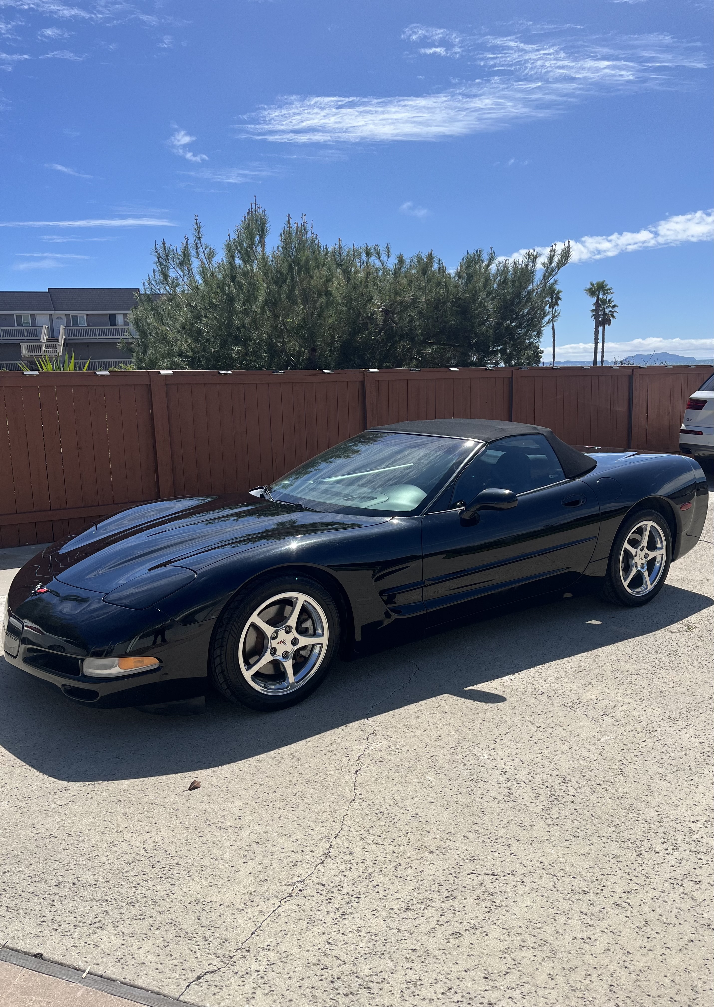 Used 2000 Chevrolet Corvette Convertible w/ Memory Pkg RWD image 4