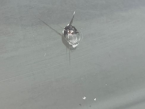 Used 2006 Nissan Sentra 1.8 w/ (F05) Convenience Pkg image 13