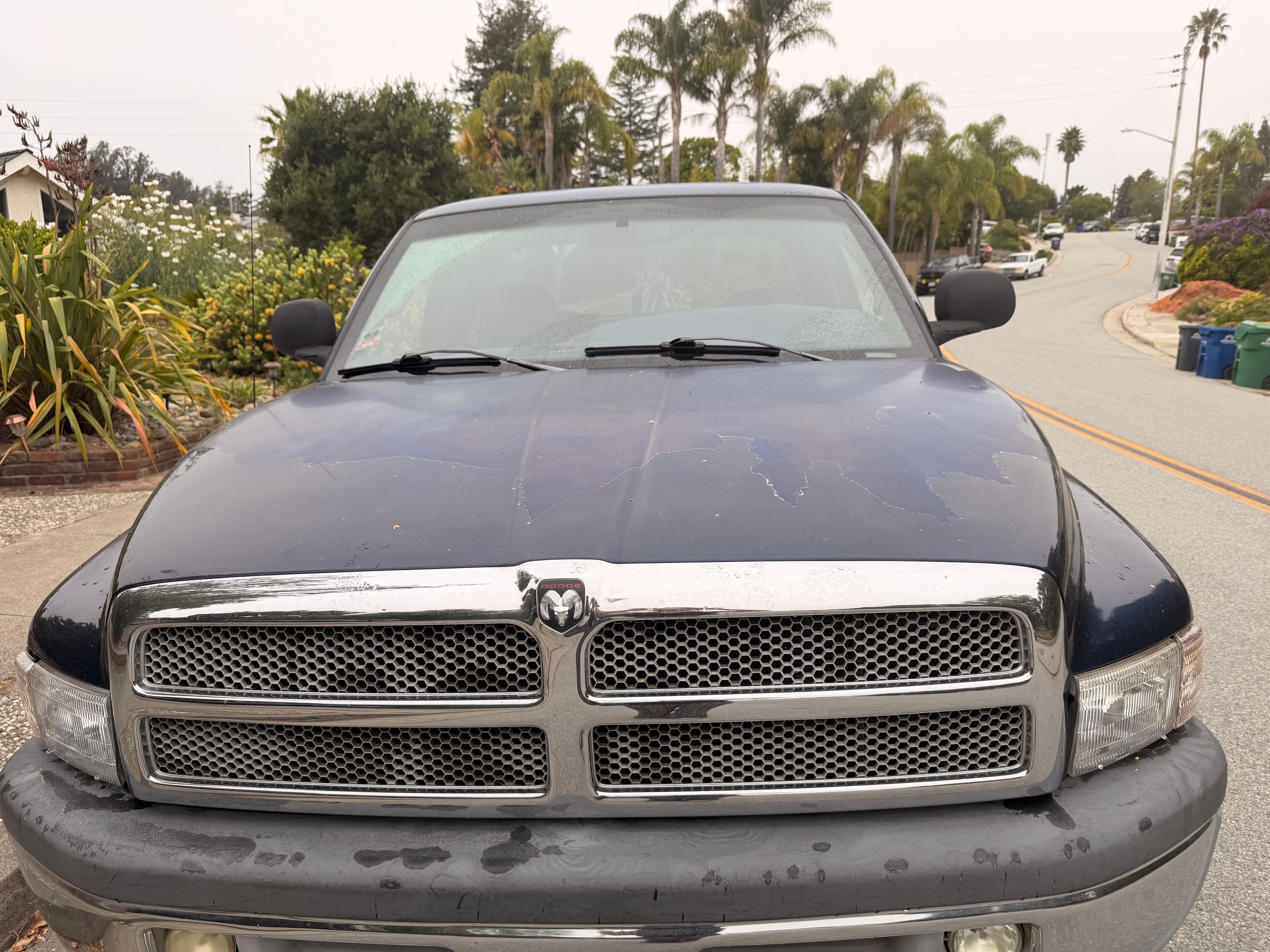 Used 2001 Dodge Ram 1500 Truck 2WD Quad Cab image 5